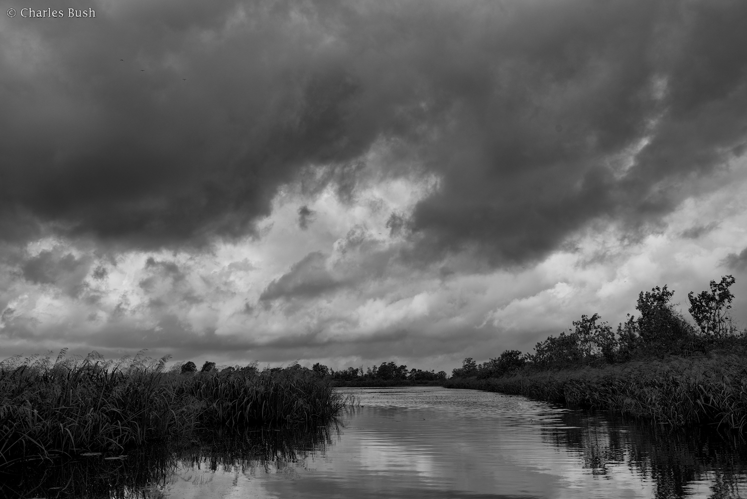 Millers Lake B&W