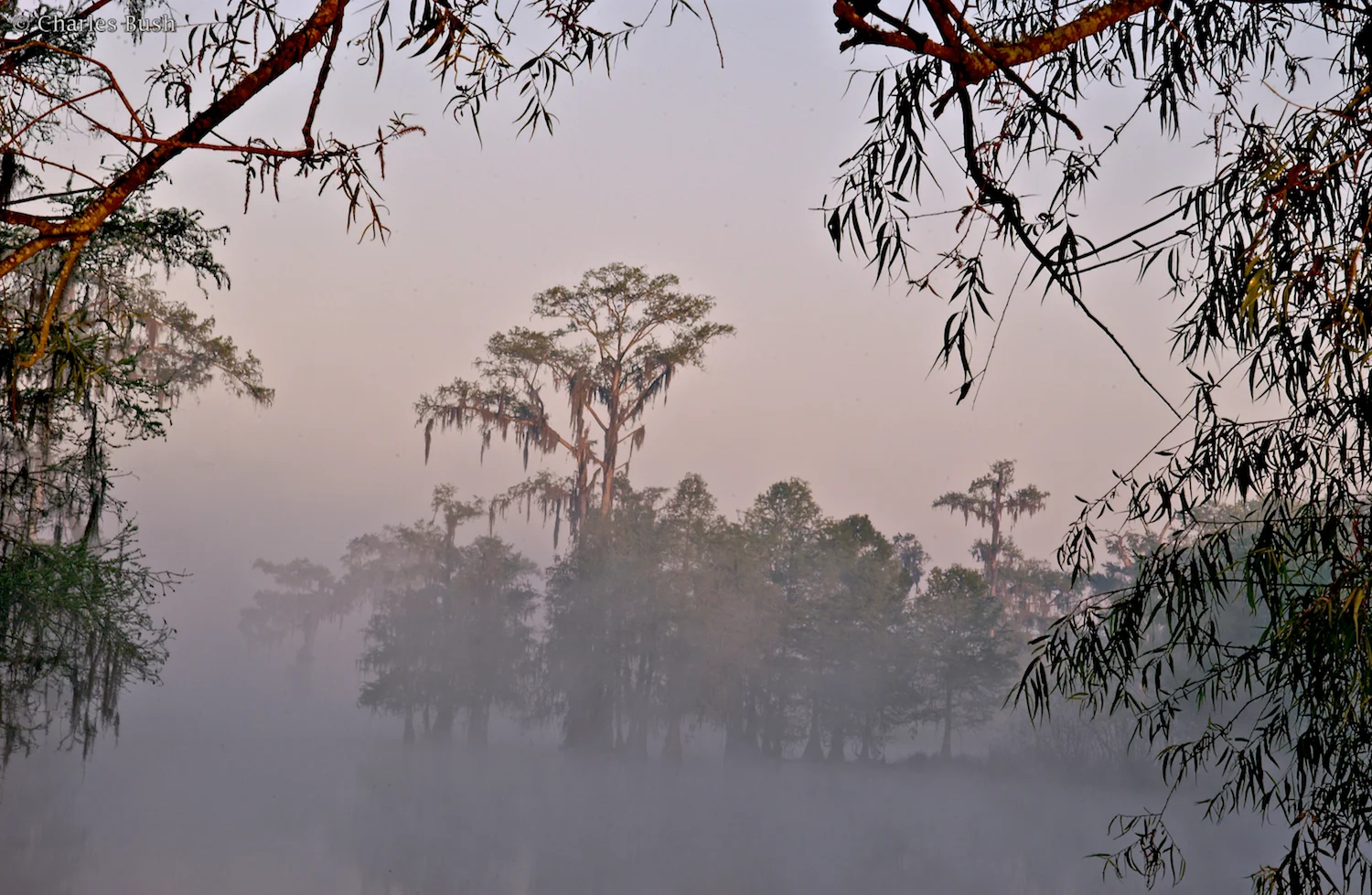 Taken with a Nikkor 28-70 @ 70mm @ f22. Focus was on foreground branches.