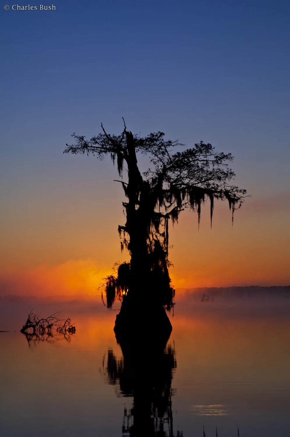 Boat positioned with rising Sun Behind Cypress Tree.Taken with Nikkor 28-70 @ 70mm f5.6.