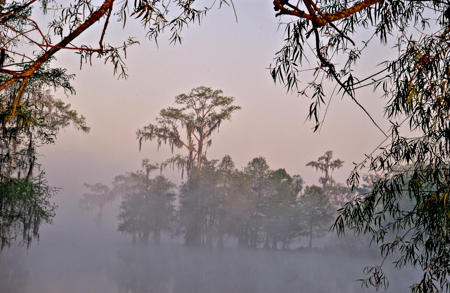Foggy Morning Lake Martin