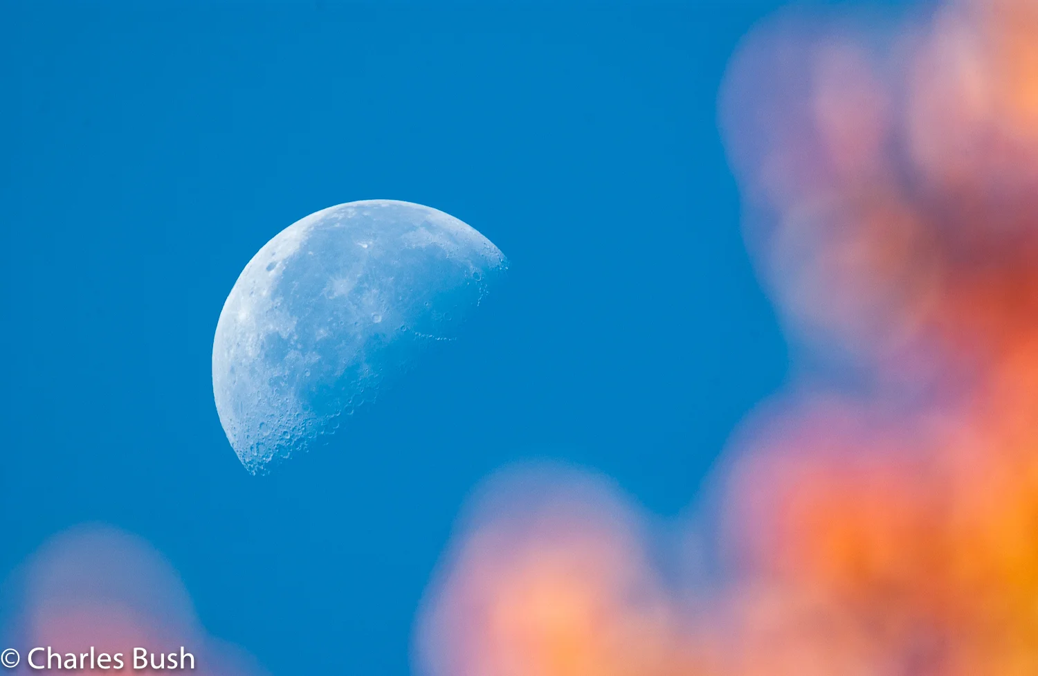 Fall Moon