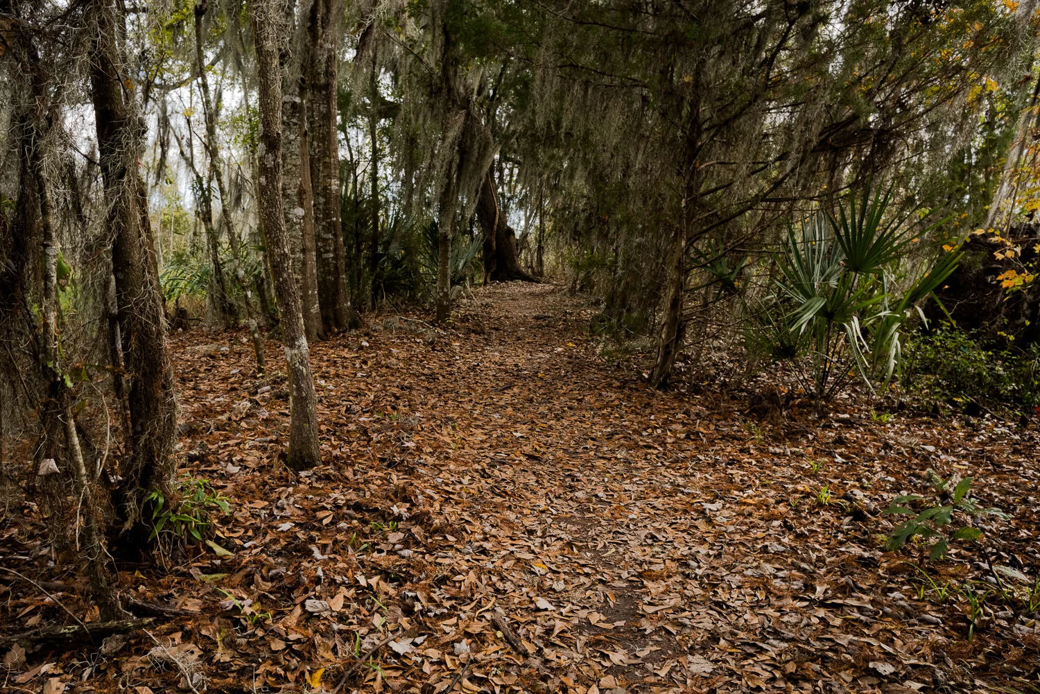 Mandalay National Wildlife Refuge–Nature Trail
