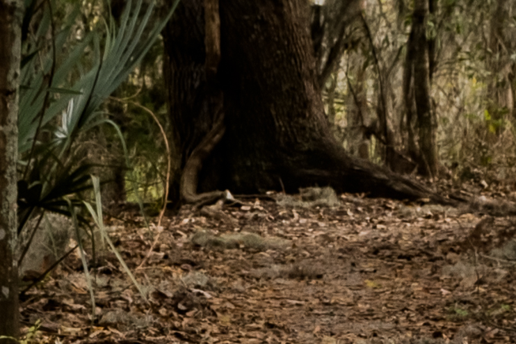 The end of the trail