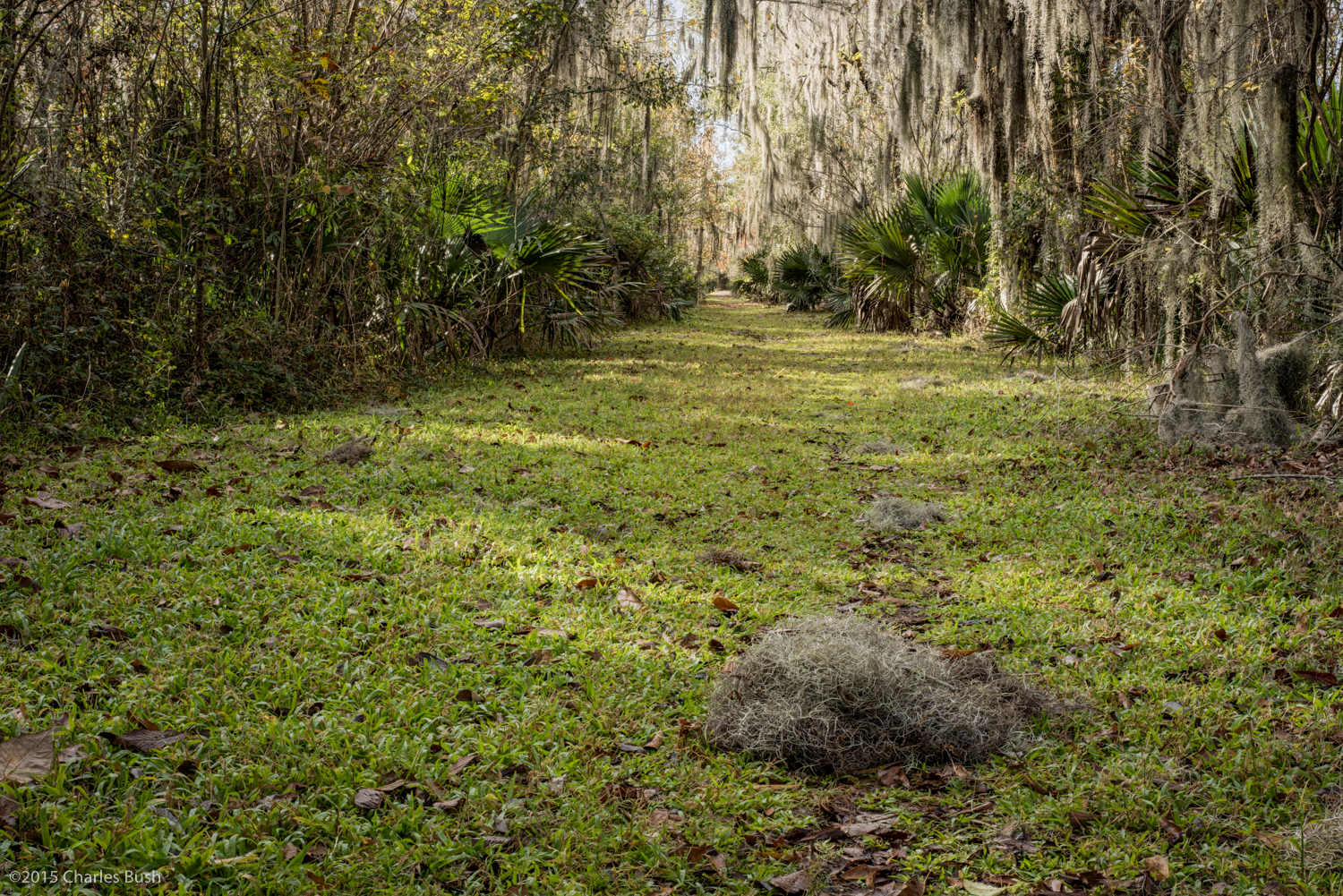 Mandalay NWR