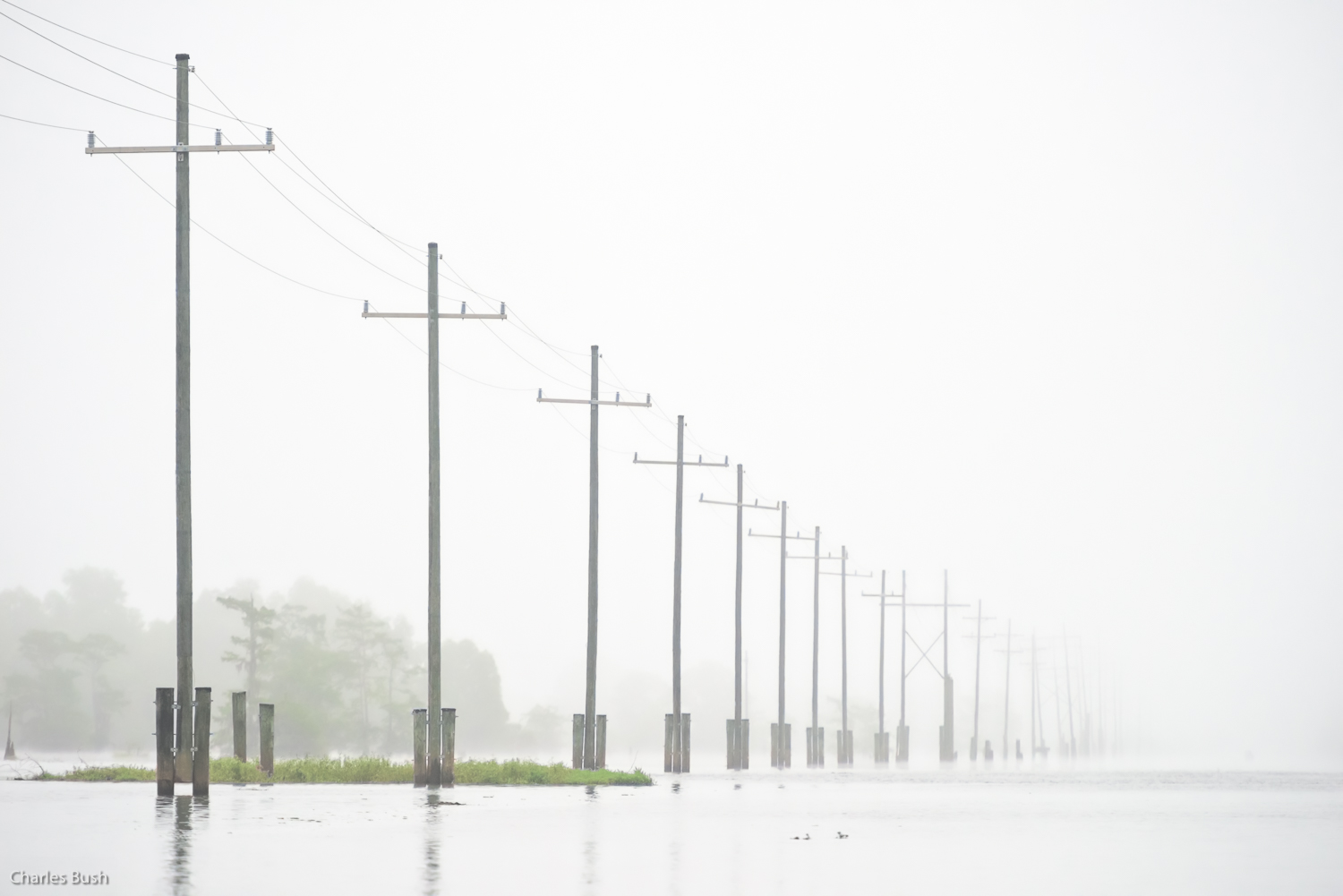 Power lines across the Atchafalaya Basin
