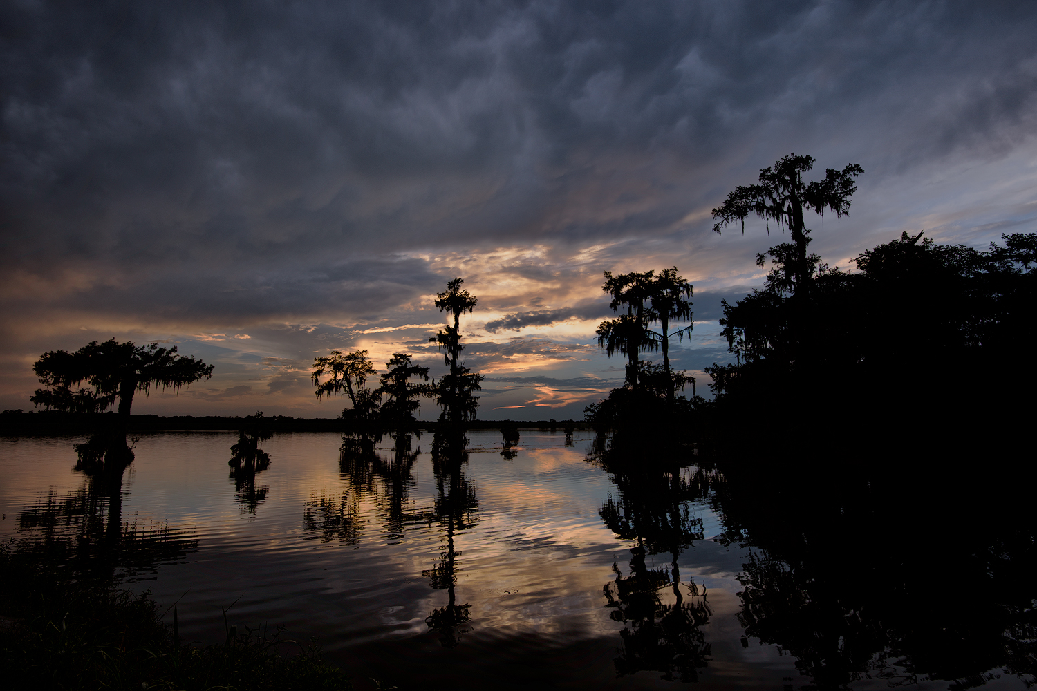 Lake Martin Sunset