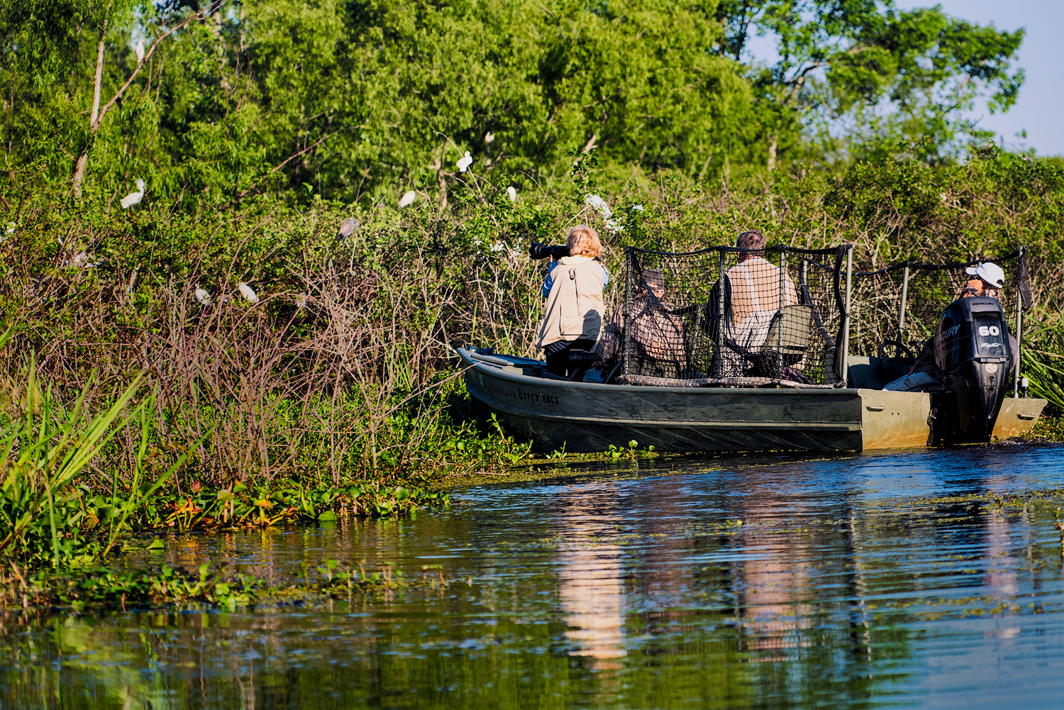 Photographing Birds - Millers Lake