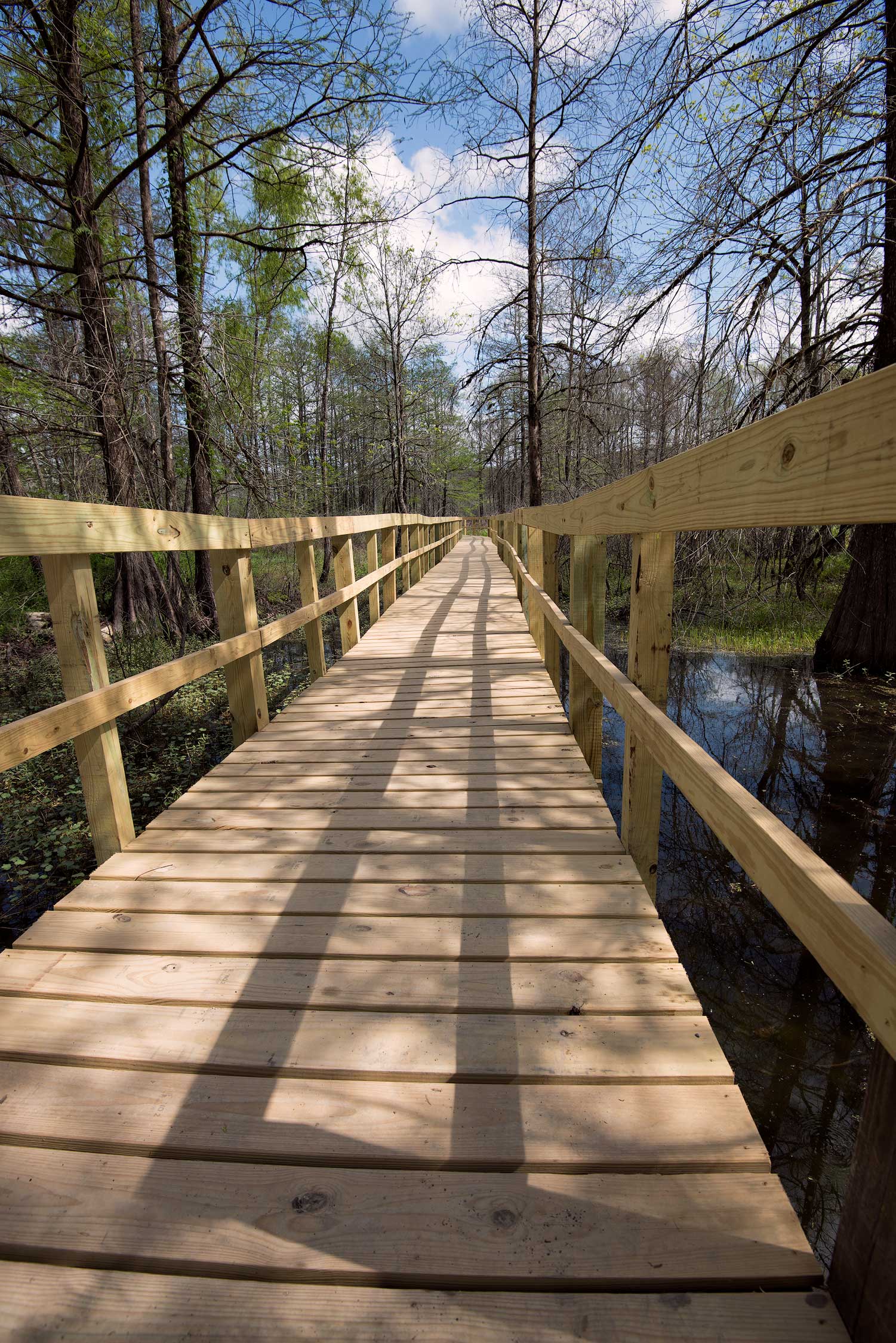 The Lake Martin Boardwalk