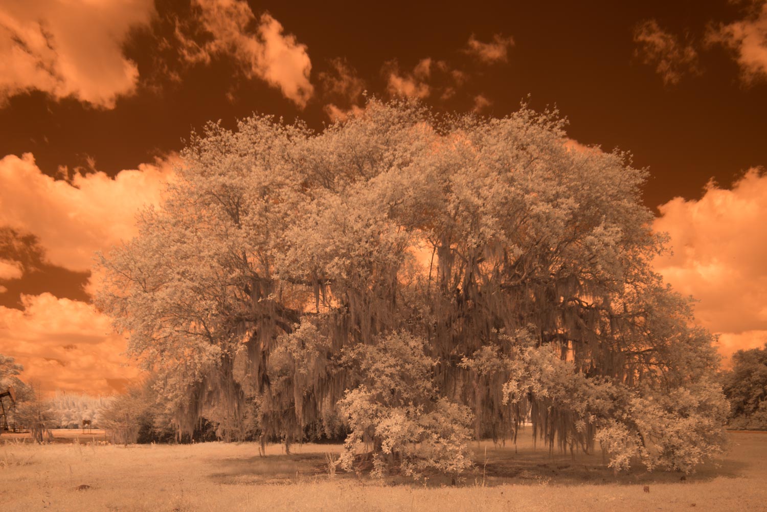 Image as imported into lightroom