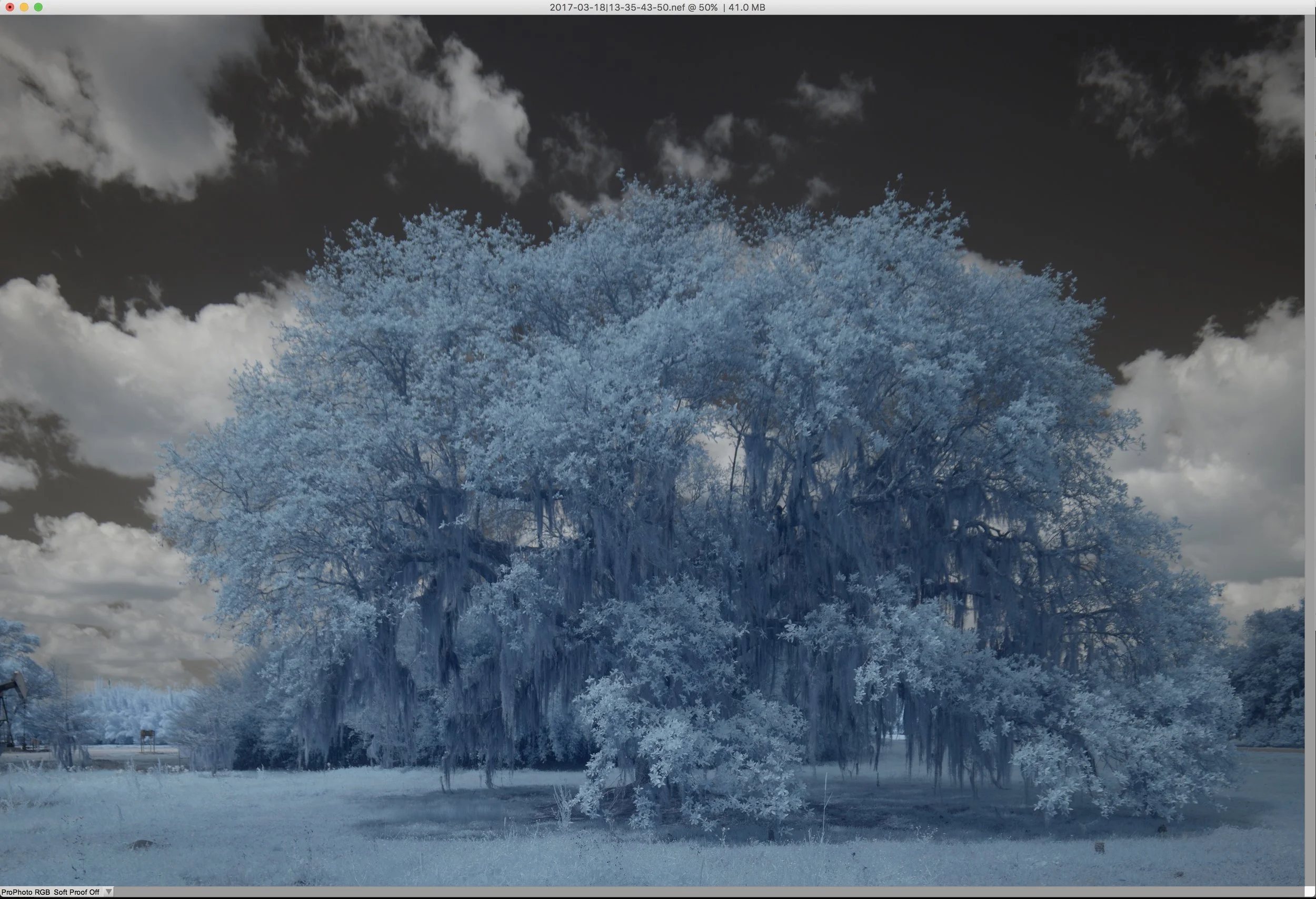Image with the Grey Point set