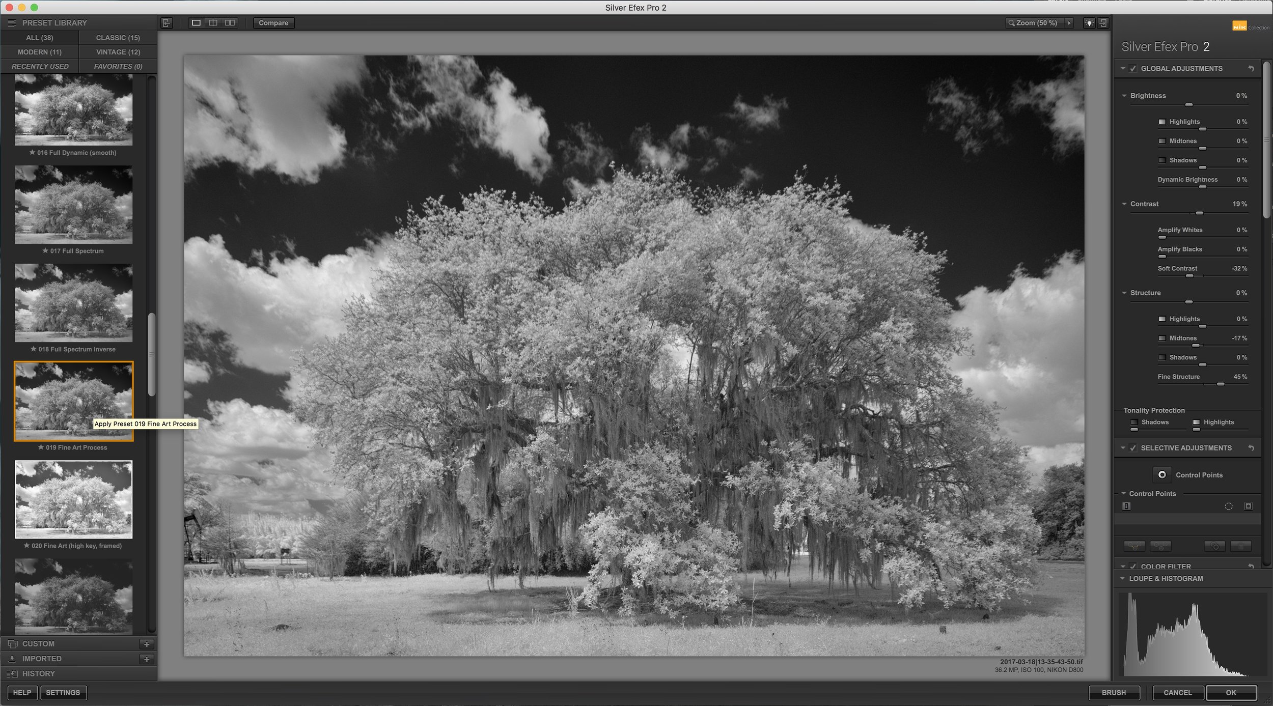 Black and white image using Silver Effects Pro