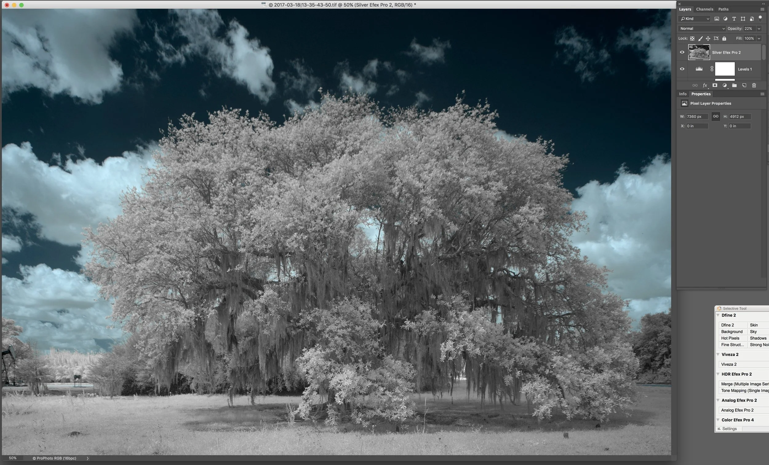 Setting the opacity of the Silver Effects Pro layer to fine tune the saturation of the image
