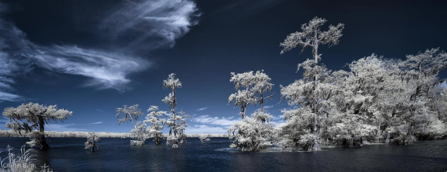 Lake Martin Infrared