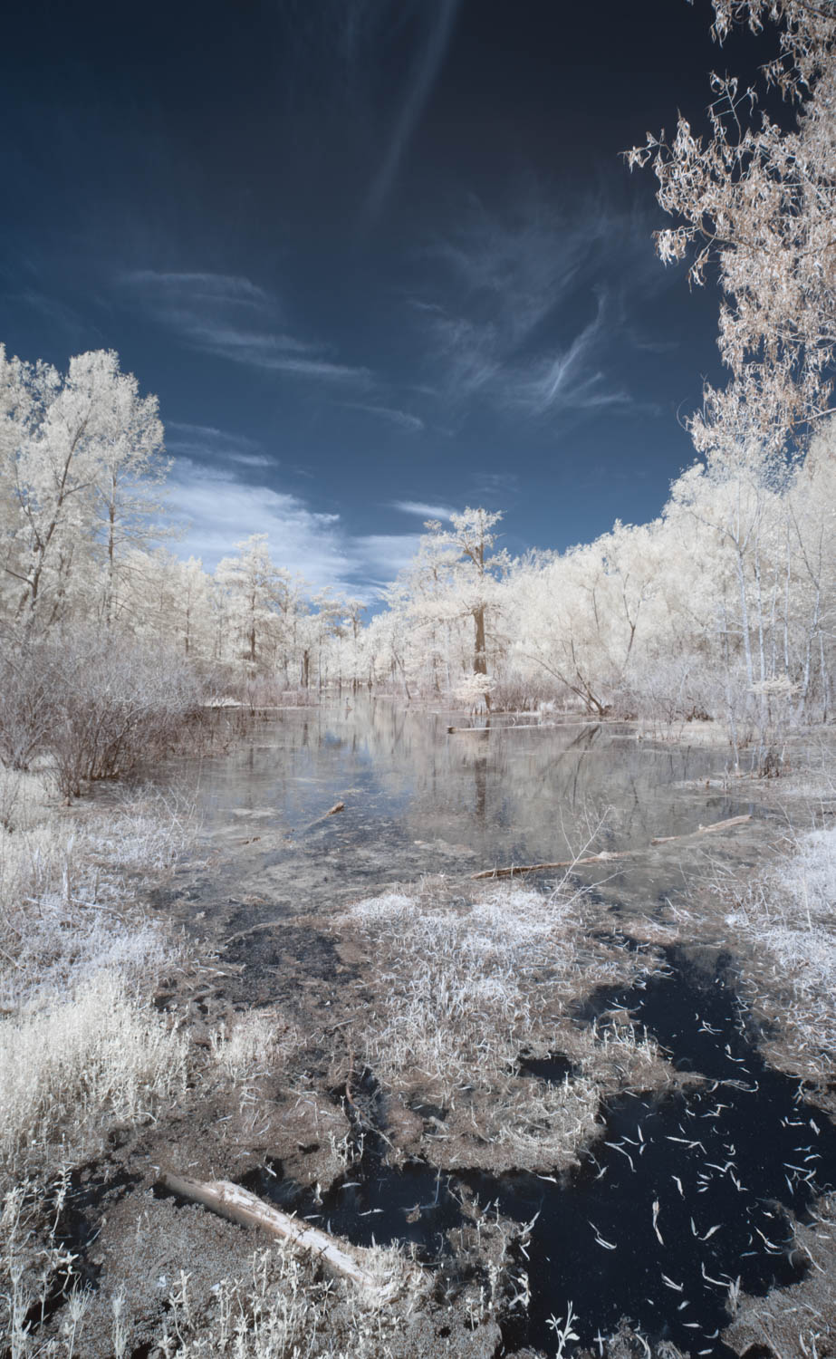 Infrared Image–Lake Martin