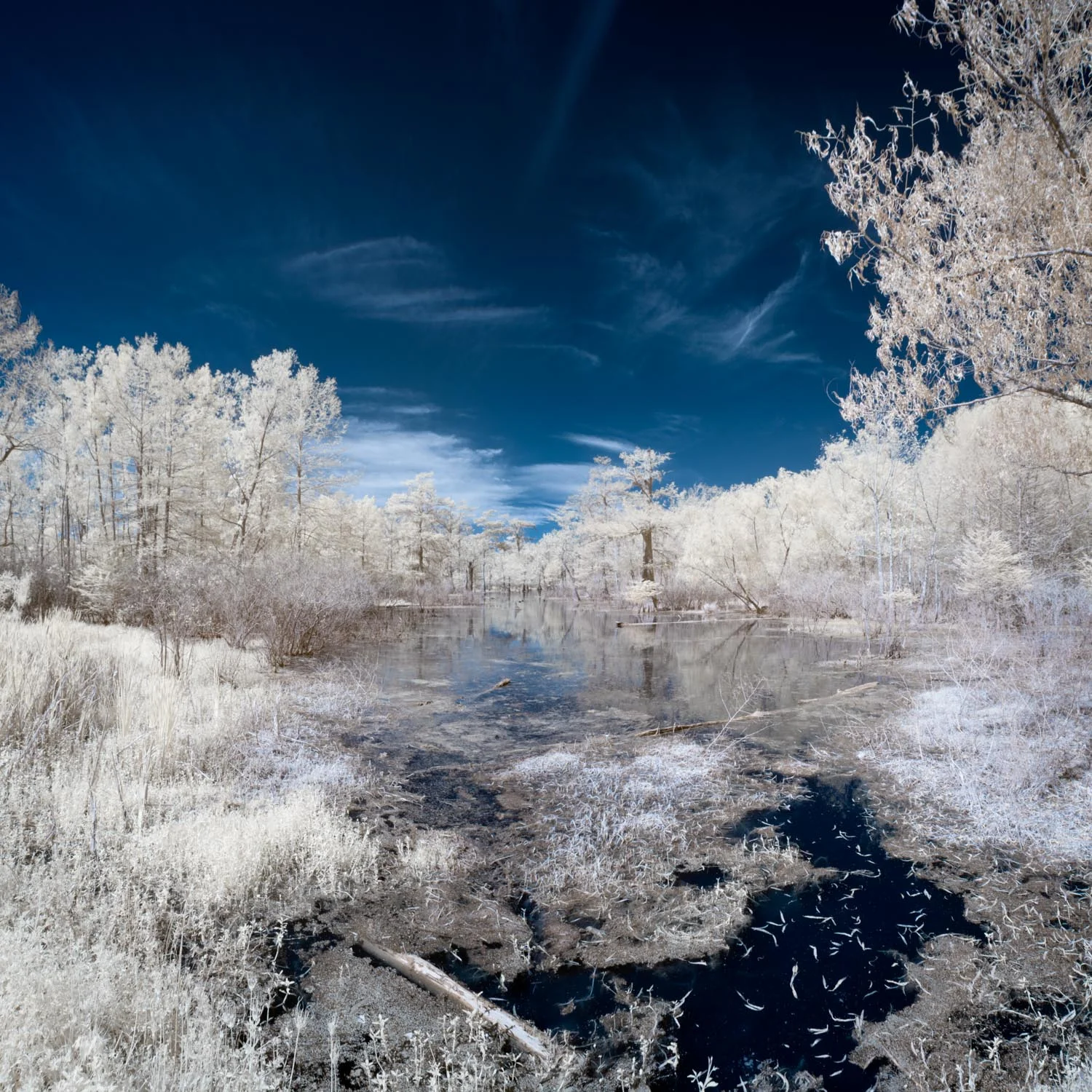 Lake Martin Infrared Photo