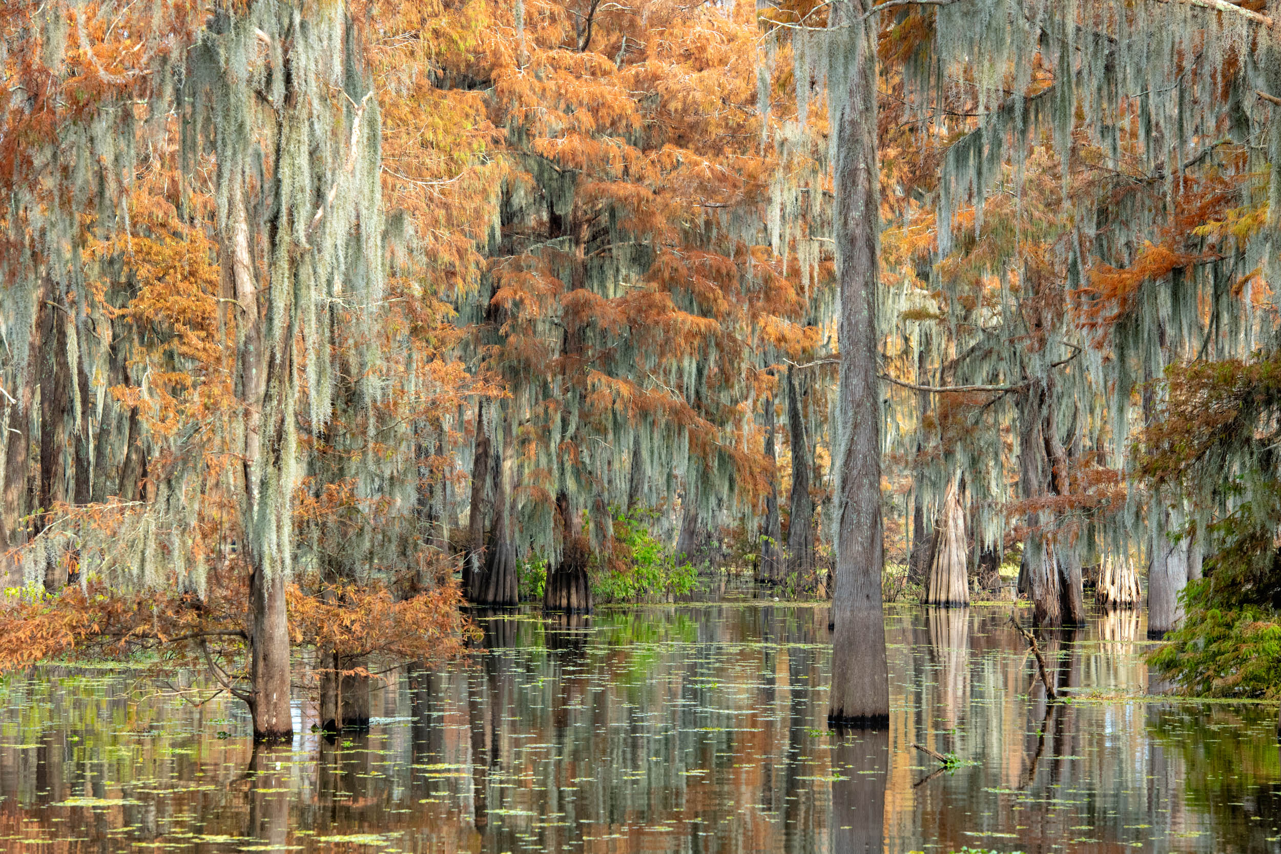 Tranquil Fall Scene