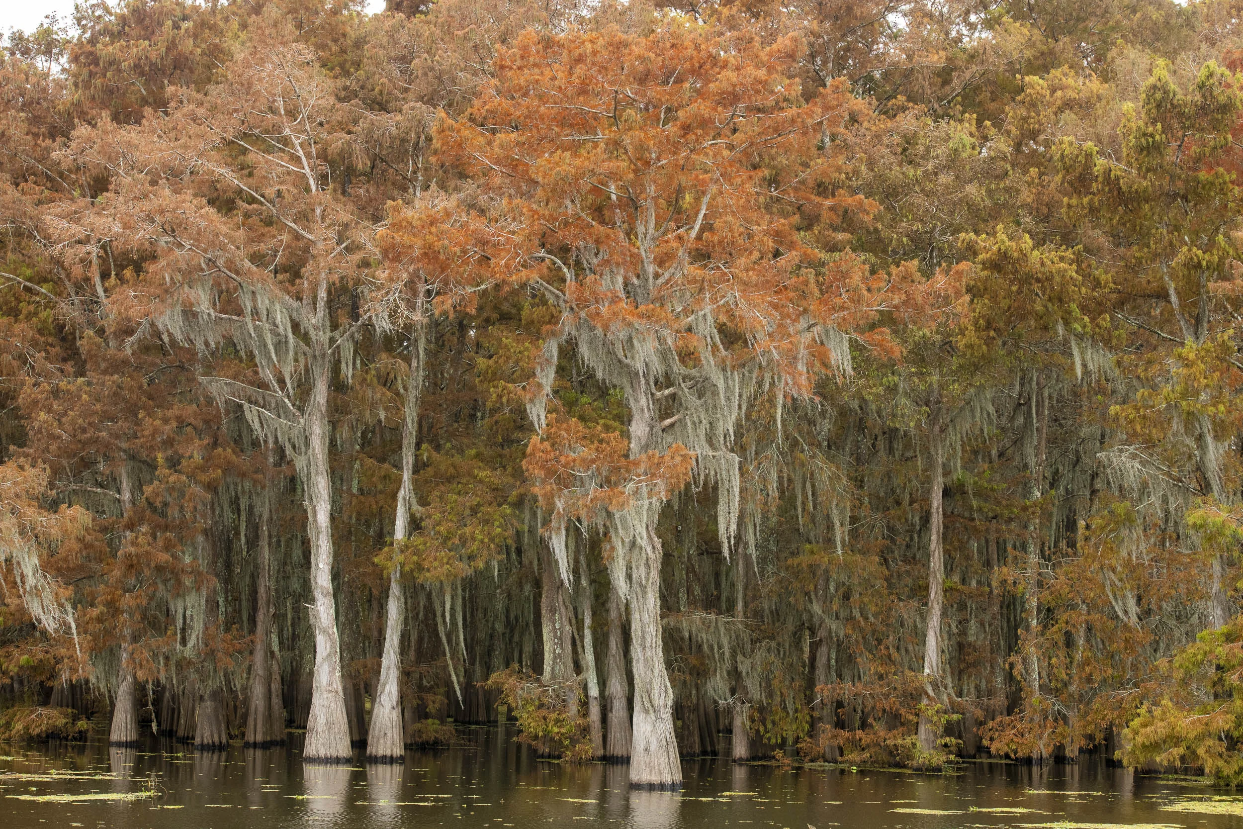 Image Taken on Second 2018 Fall Photo Tour