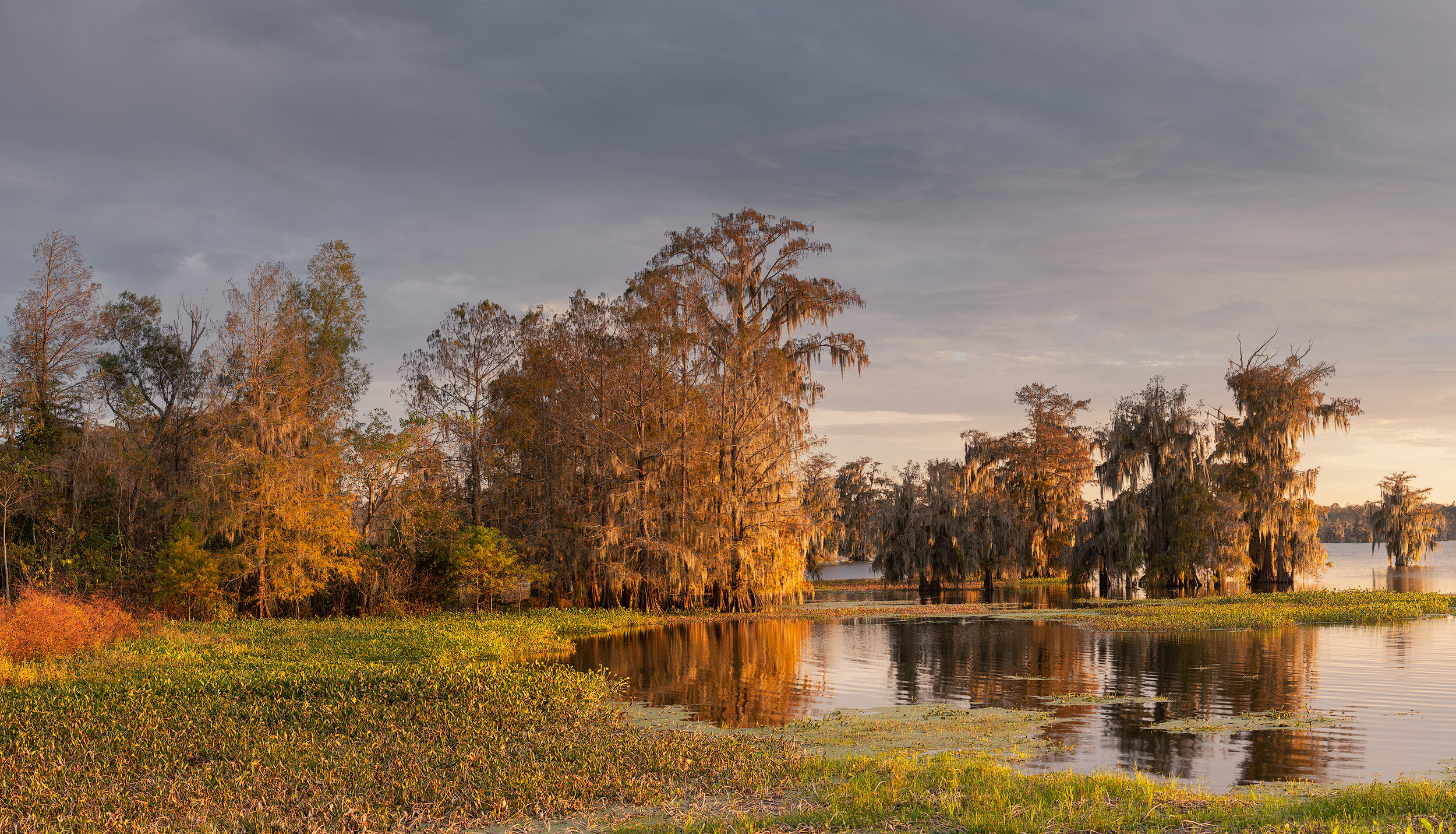 Late Evening Panorama