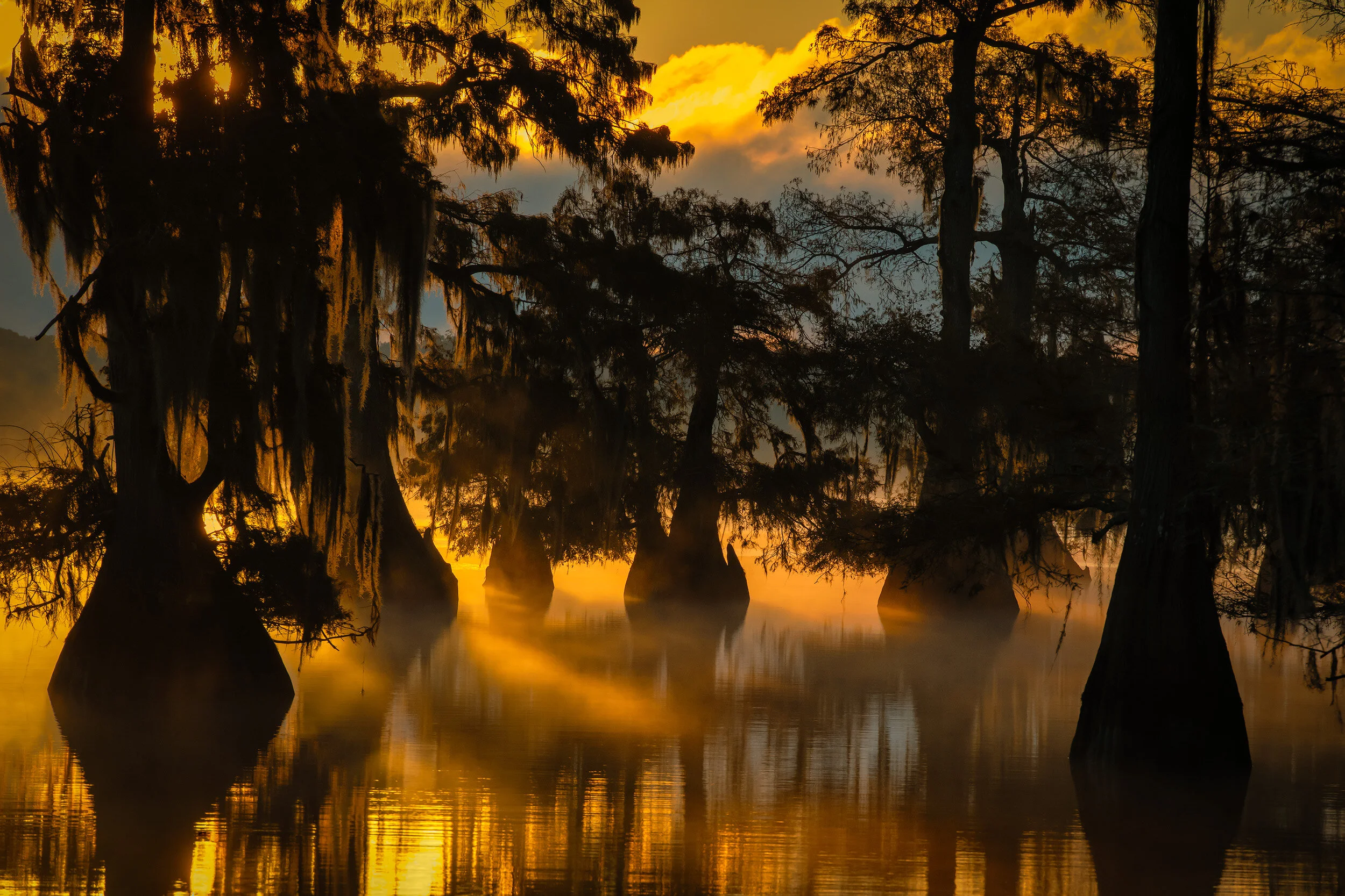 Misty Sunrise