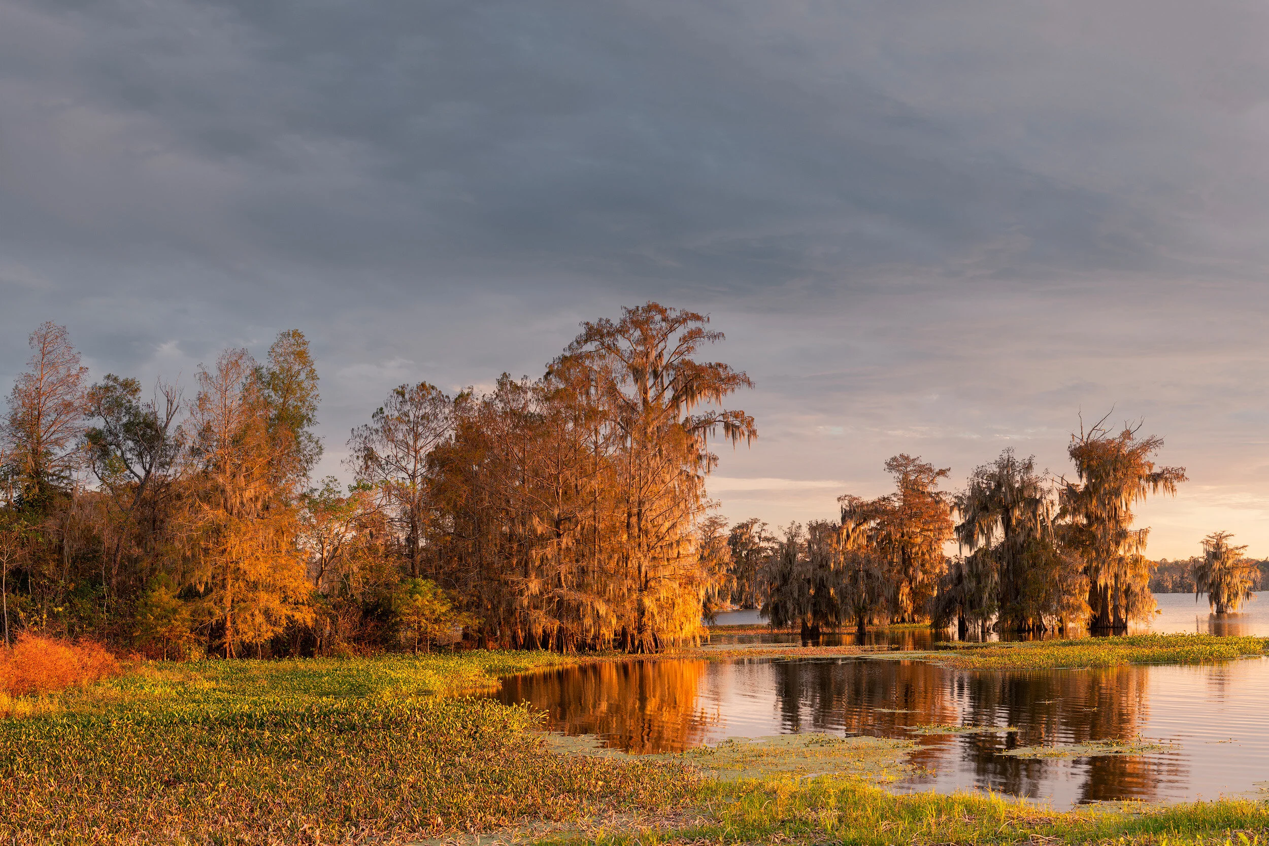 Lake Martin Fall Landscape–November 2018