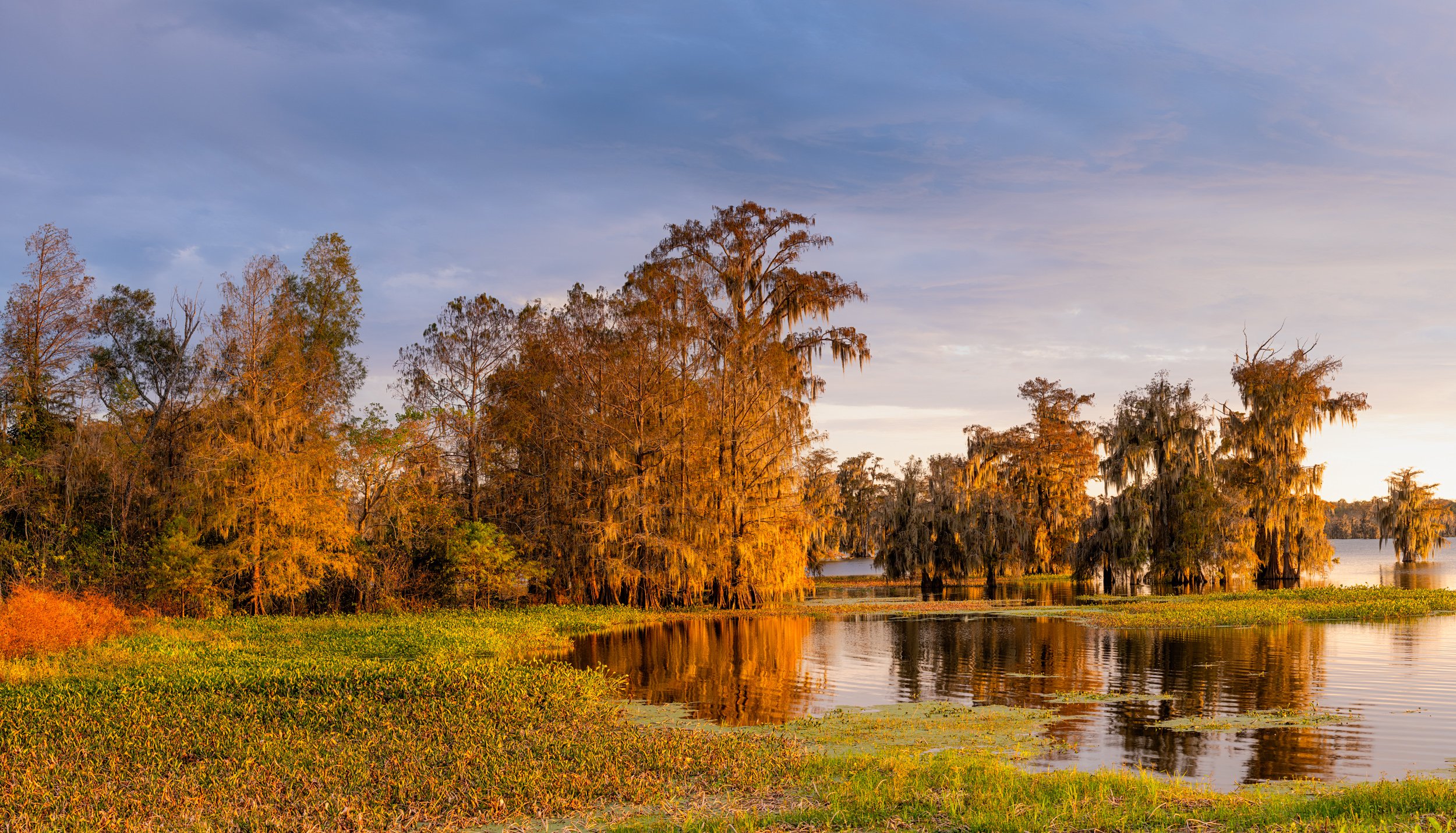  Panoramic photograph taken at Lake Martin on a Fall Day 
