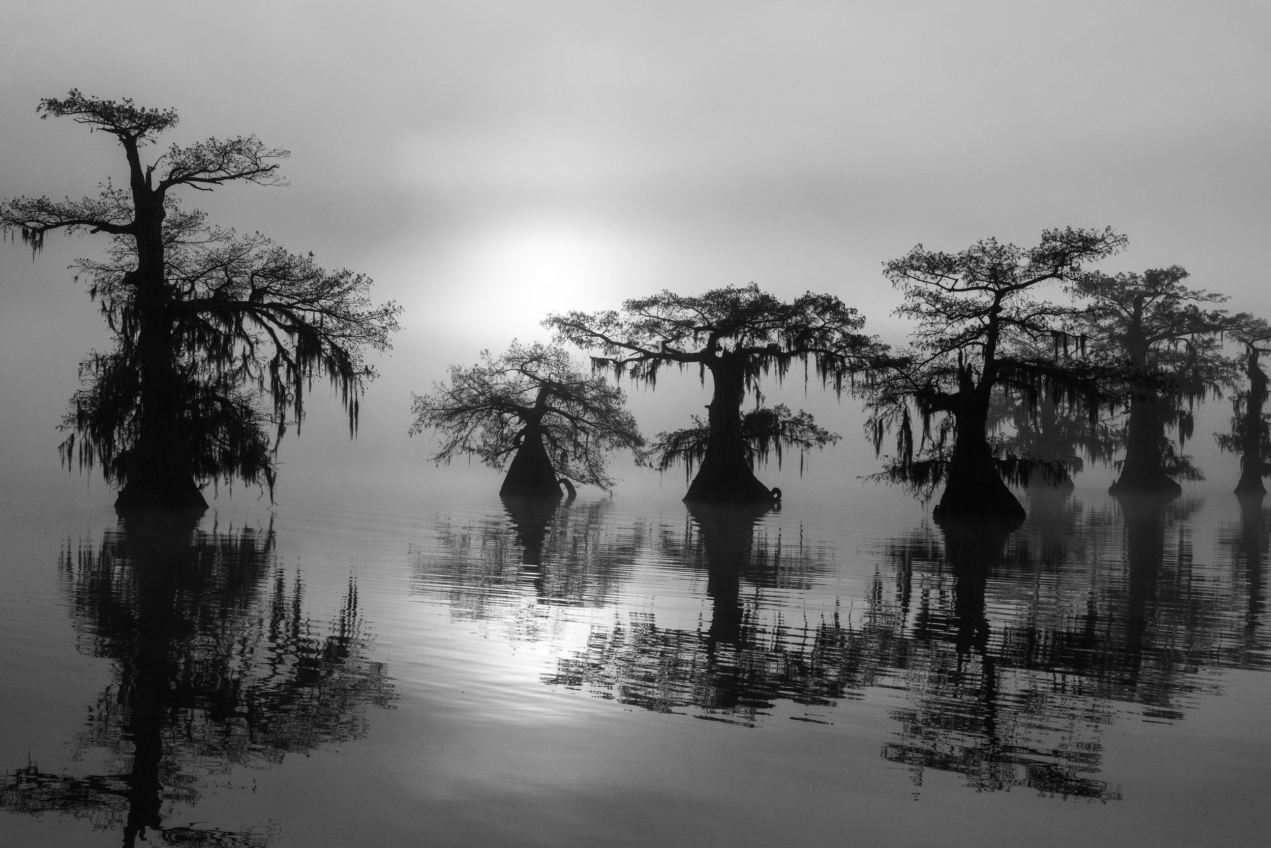 Louisiana-photographs-11.jpg