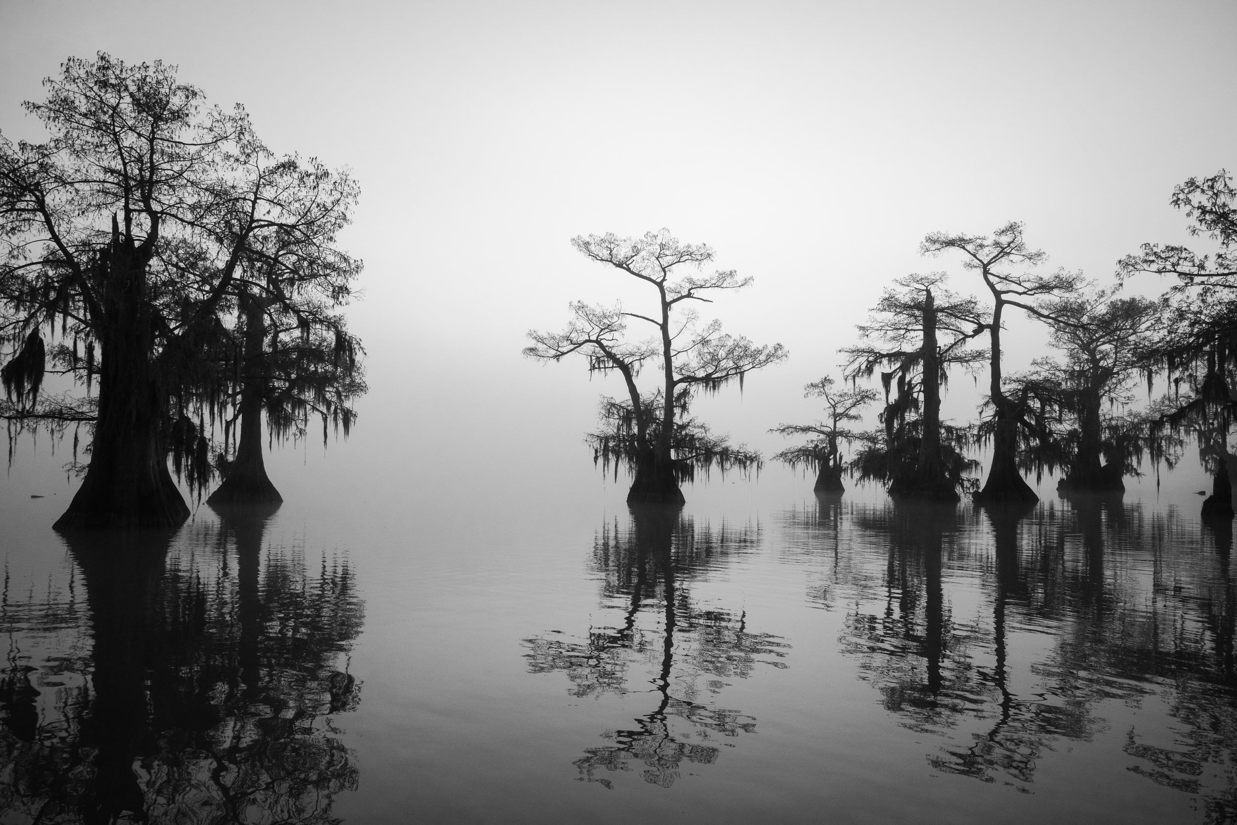 Louisiana-photographs-12.jpg