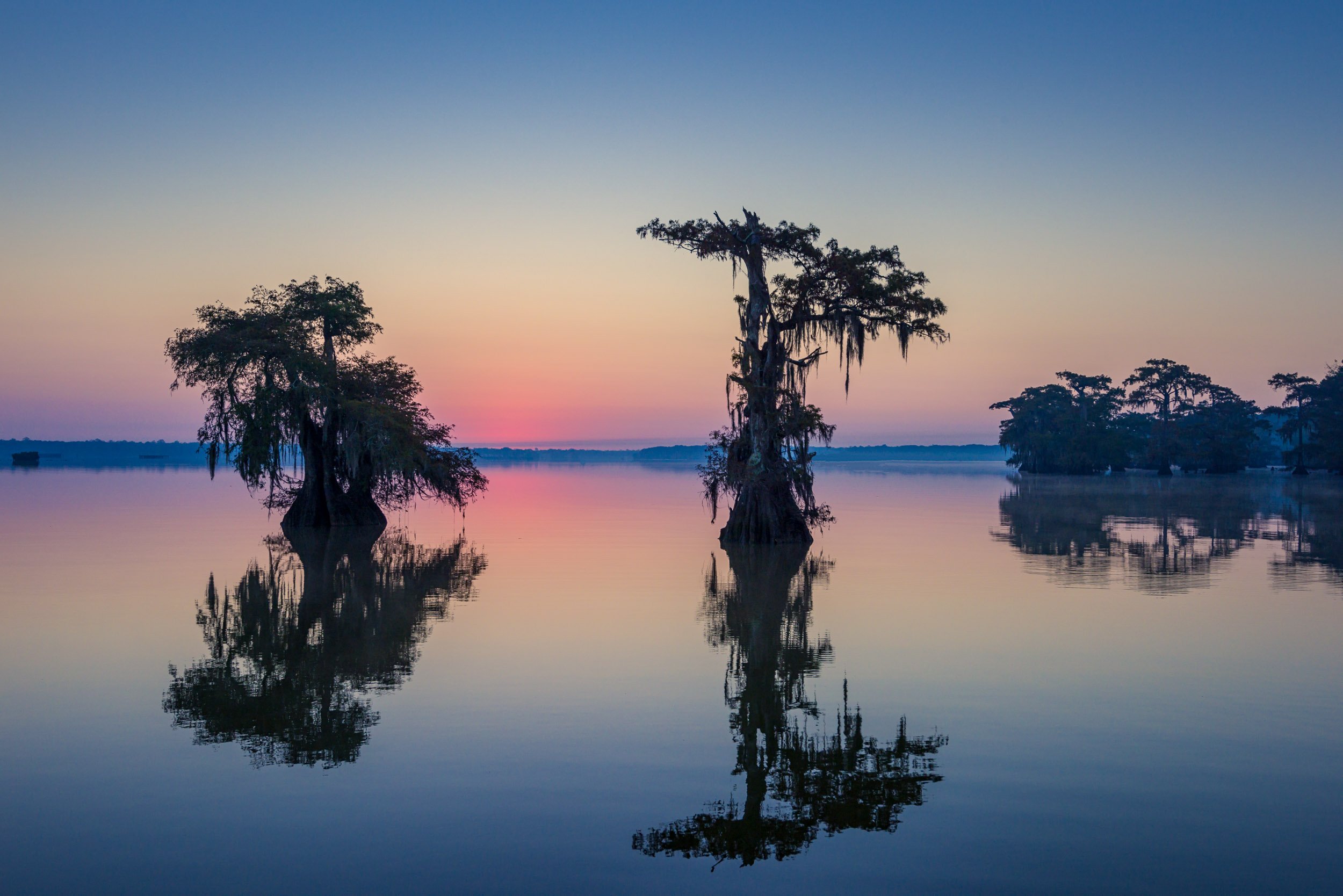 Louisiana-photographs-23.jpg
