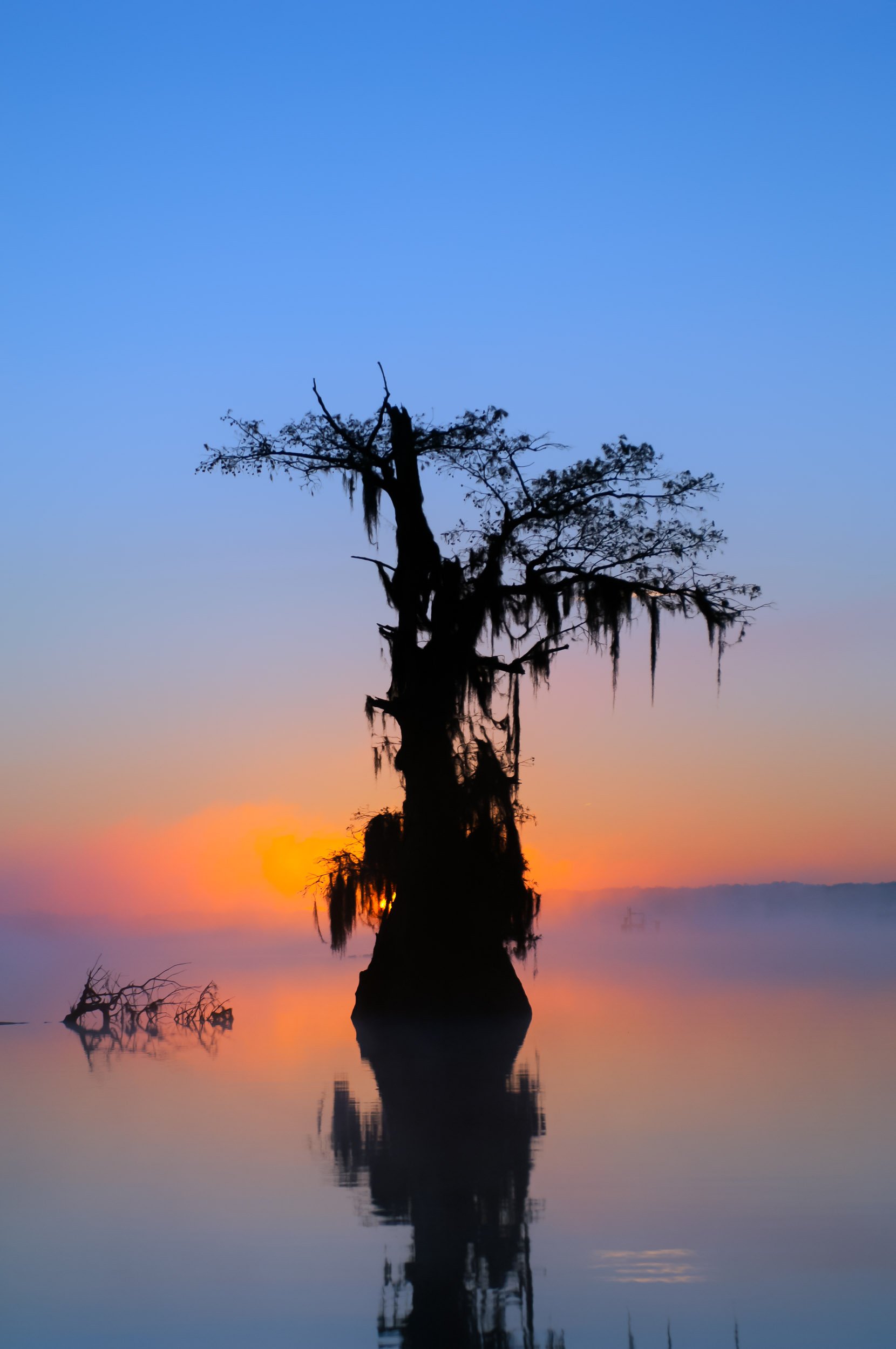 Louisiana-photographs-28.jpg