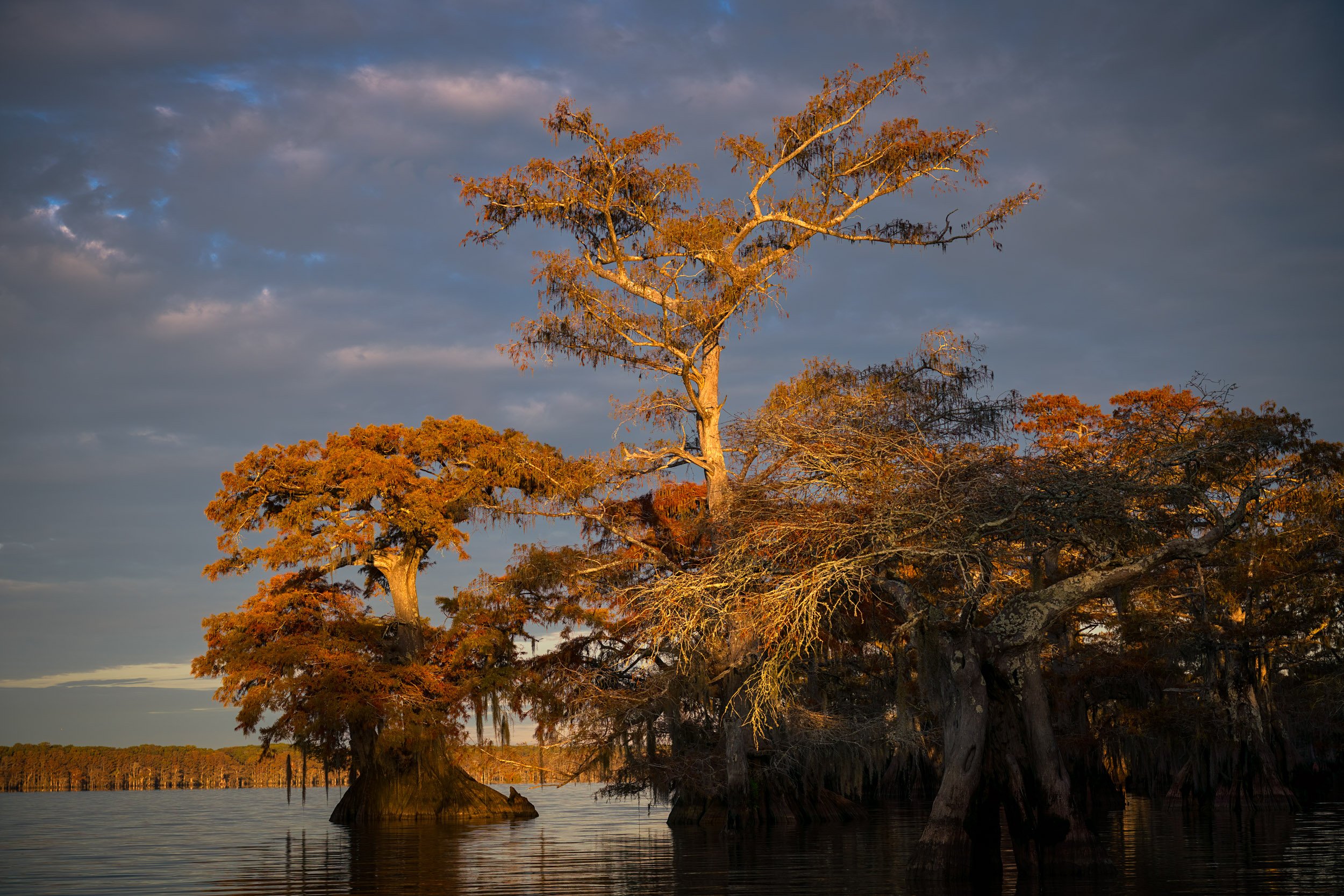 Early Morning at Lake Dauterive