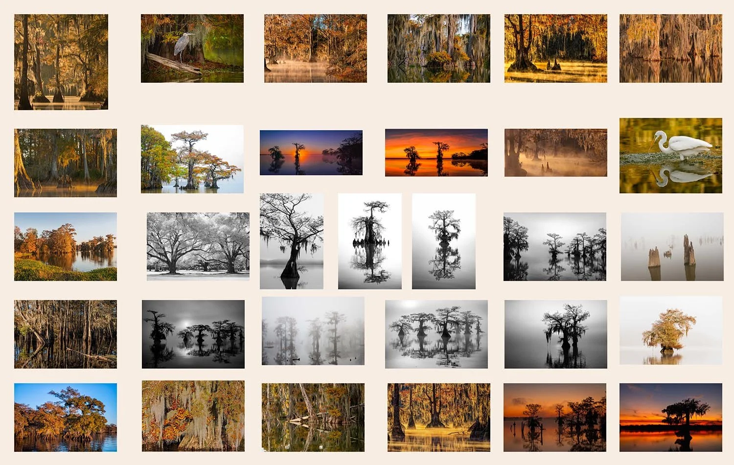 What to Expect on a Louisiana Fall Photo Tour