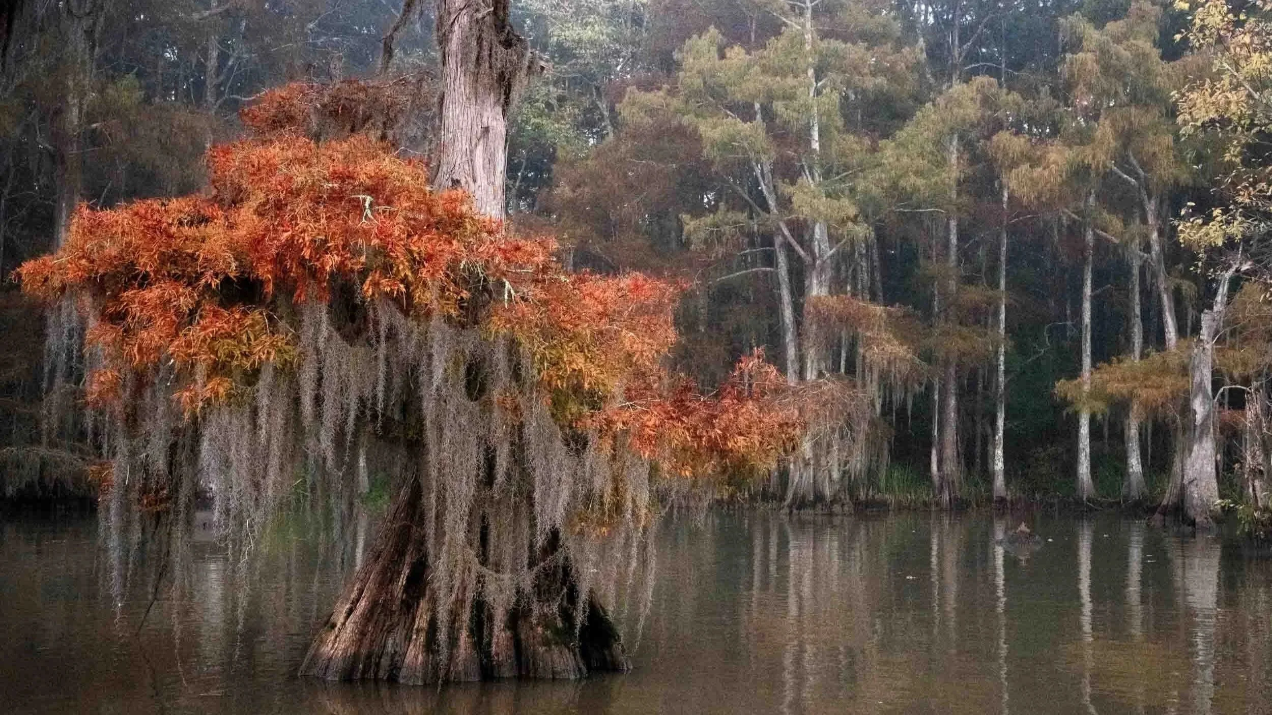 New November 2026 Fall Photography Tour Added