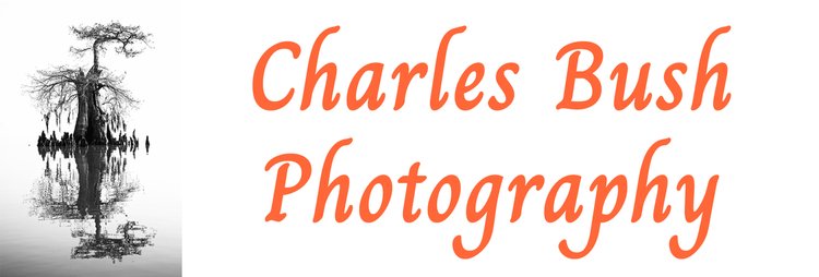 Charles Bush Photography