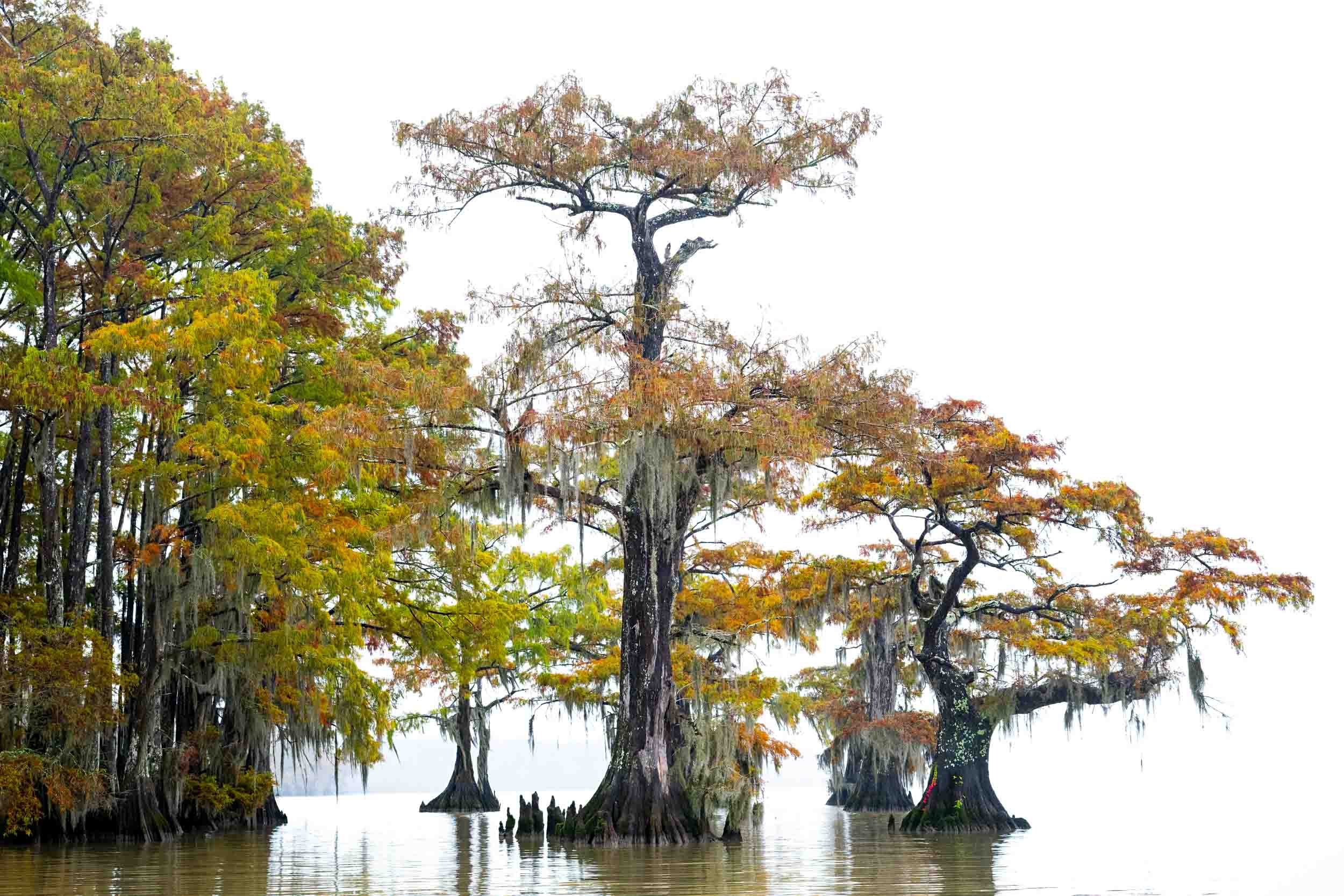 FallPhotoSQSP-03.jpg