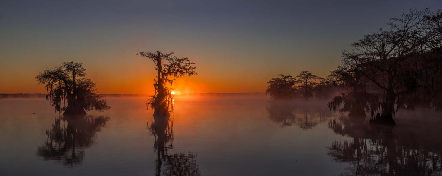 Tips for Photographing in Fog and Backlit Mist