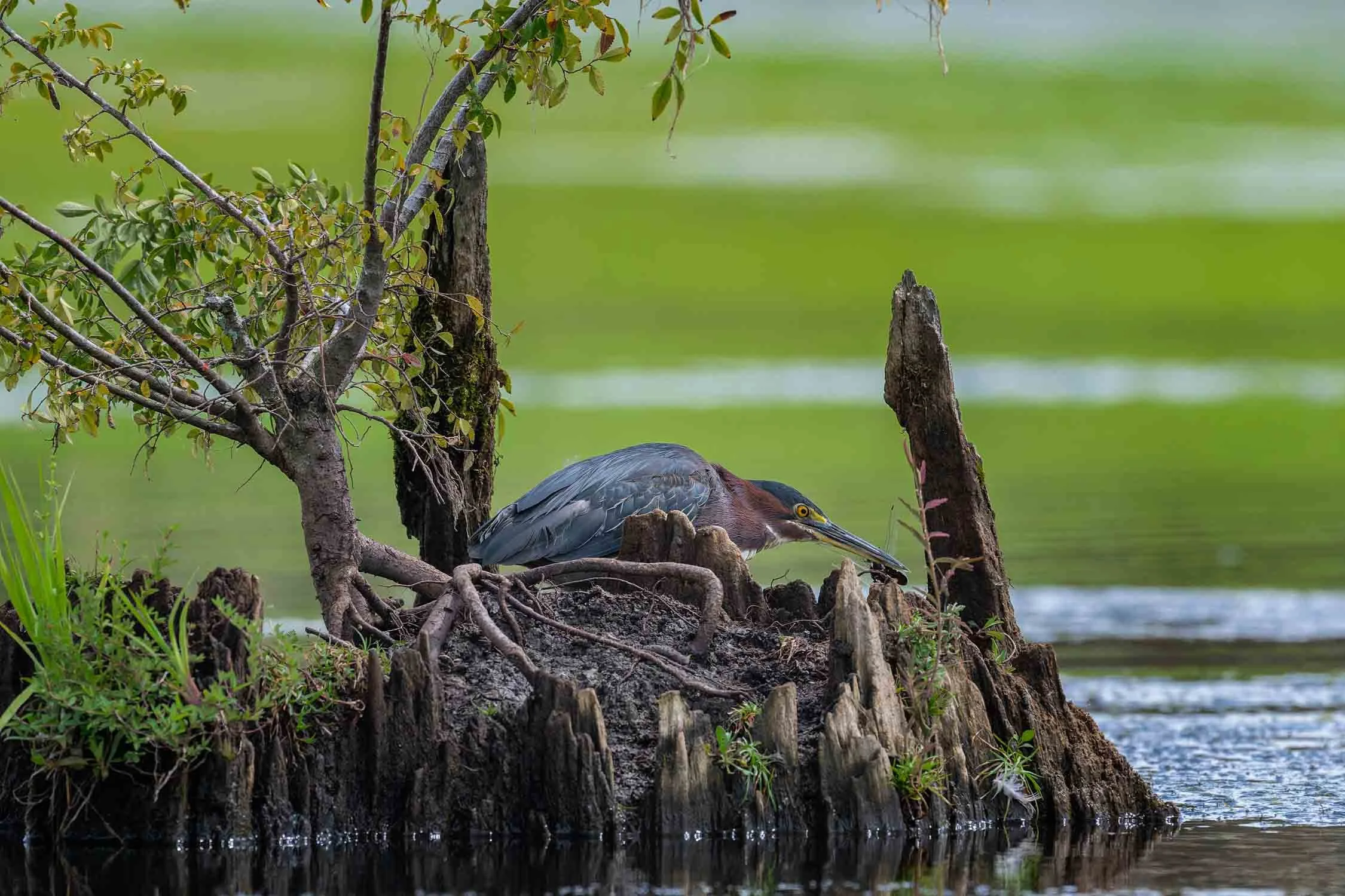 Charles Bush Photography August Newsletter