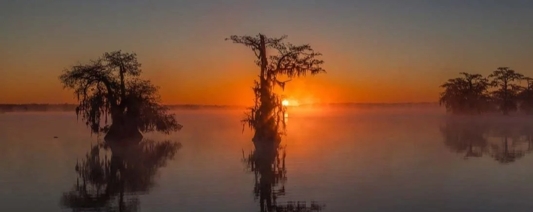 Panoramic photograph of a sunrise through the mist at Lake Dauterive