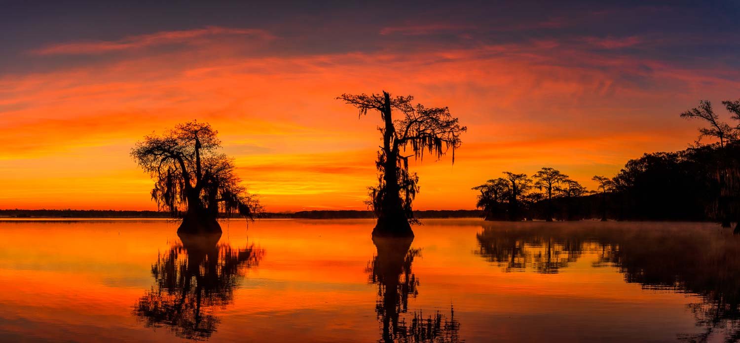 Louisiana Cypress Swamp Photography Tours 2026 Updates
