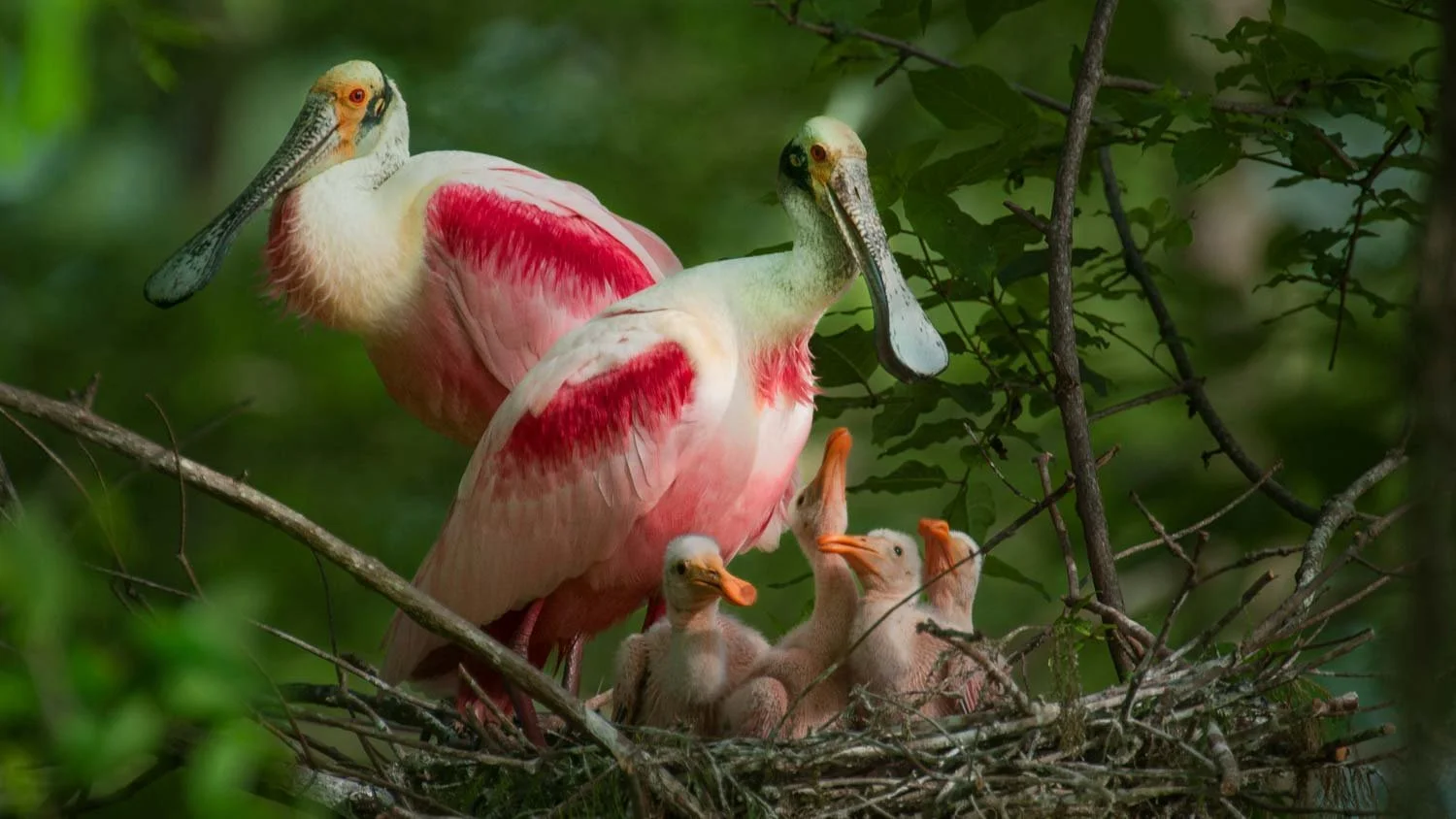 Charles Bush Photography - August 2025 Newsletter