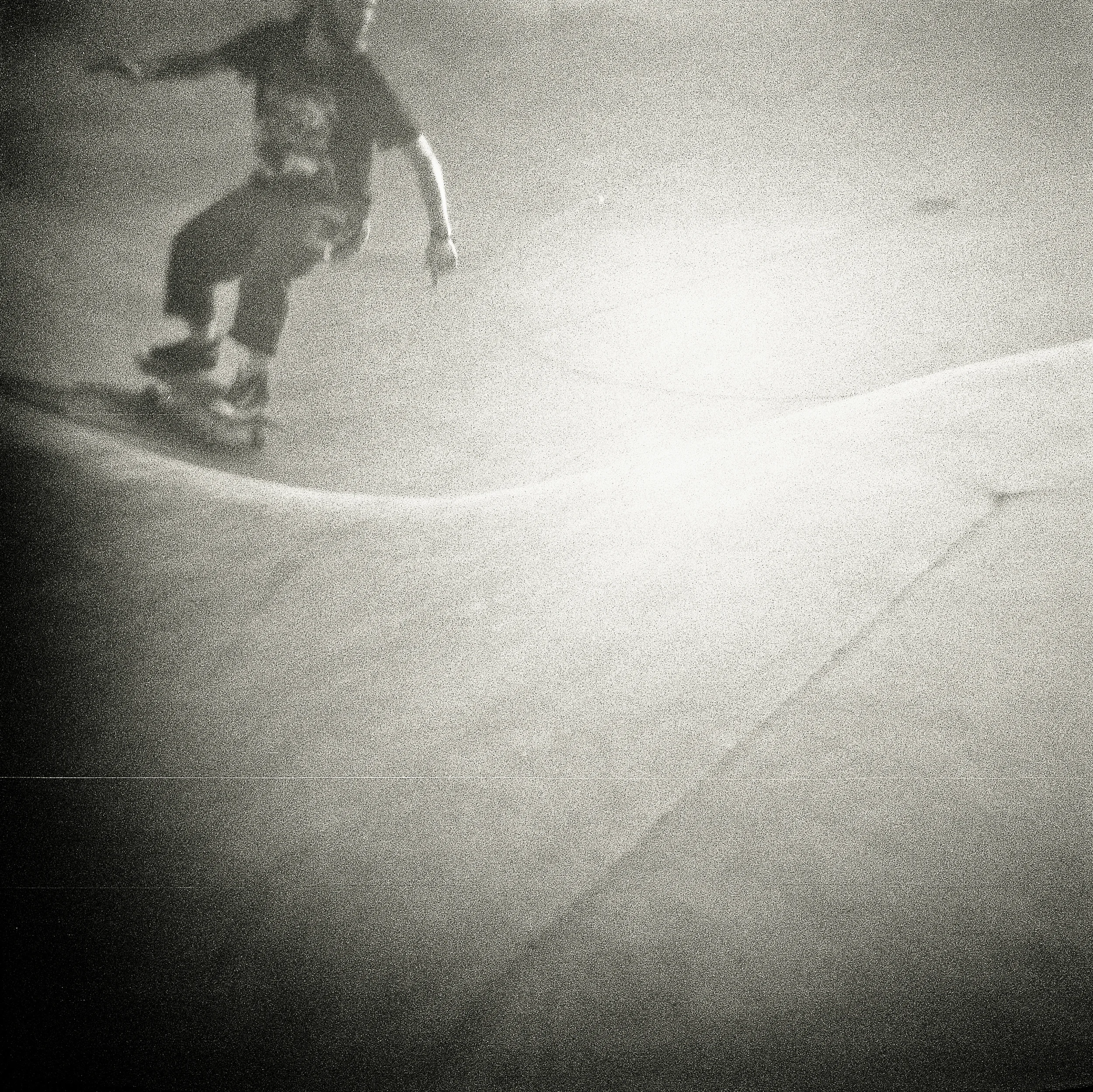 1040_556.jpg