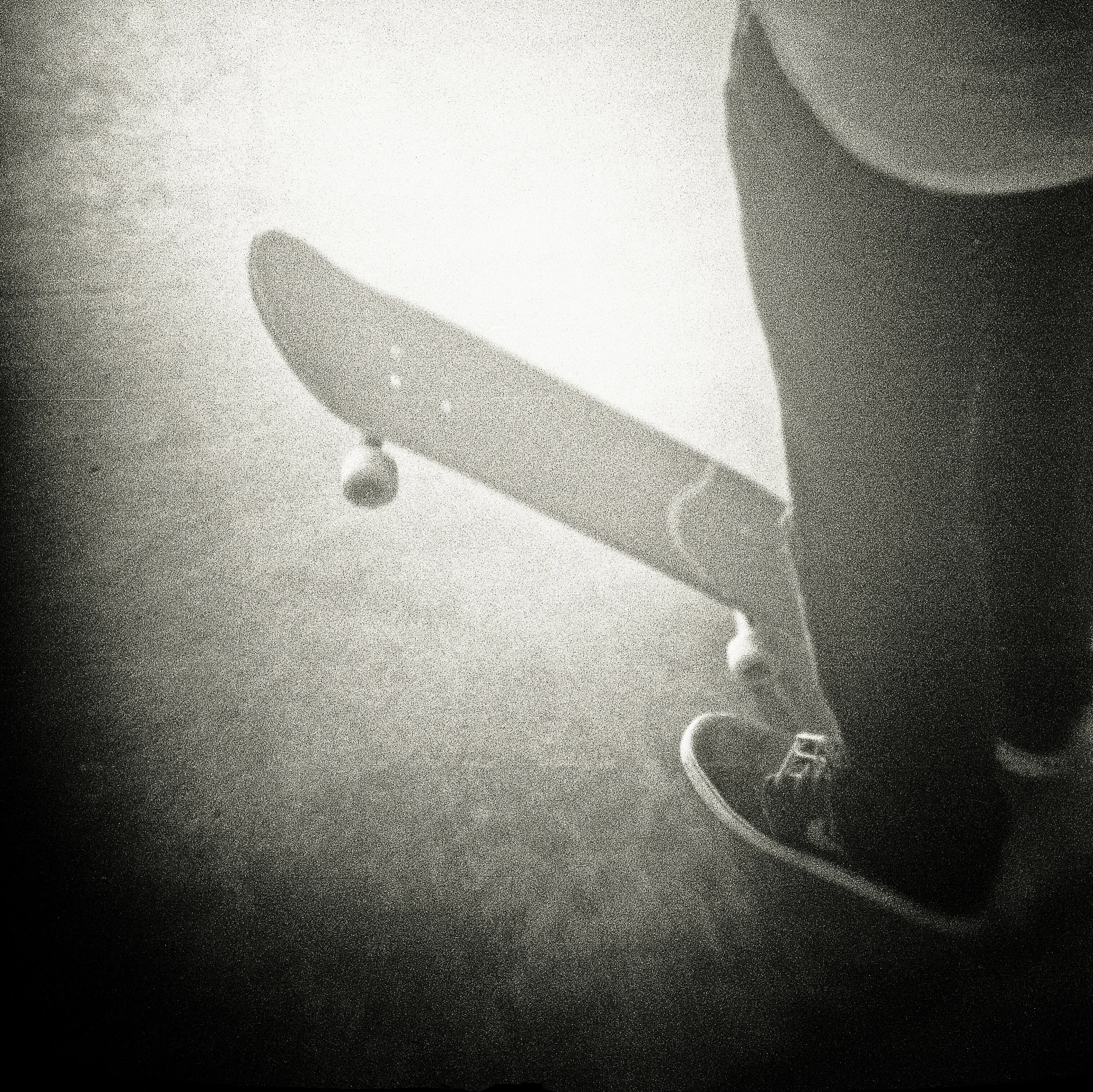 1040_557.jpg