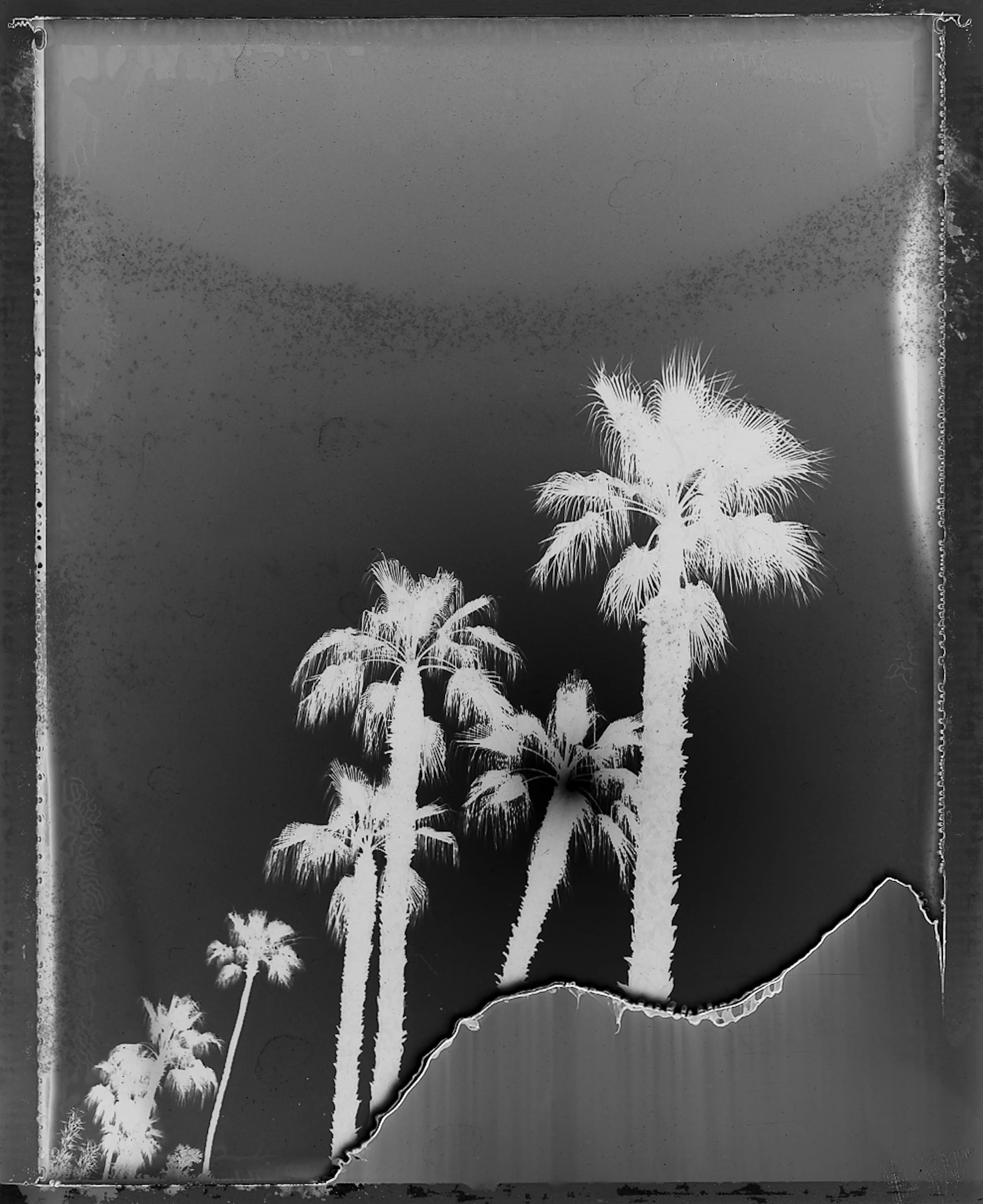 1063_0090.jpg
