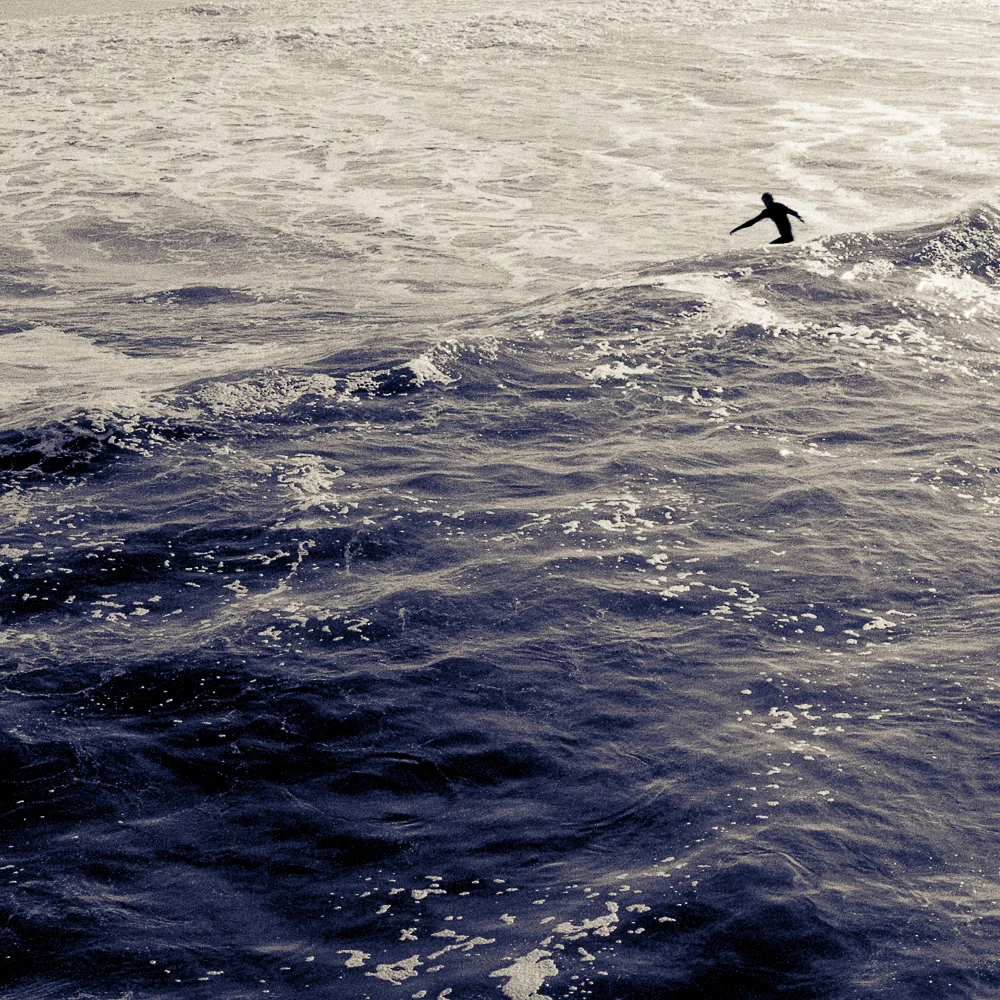 1065_221.jpg