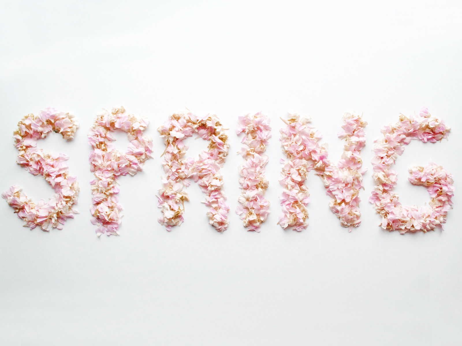 Aviary Spring Photo Challenge