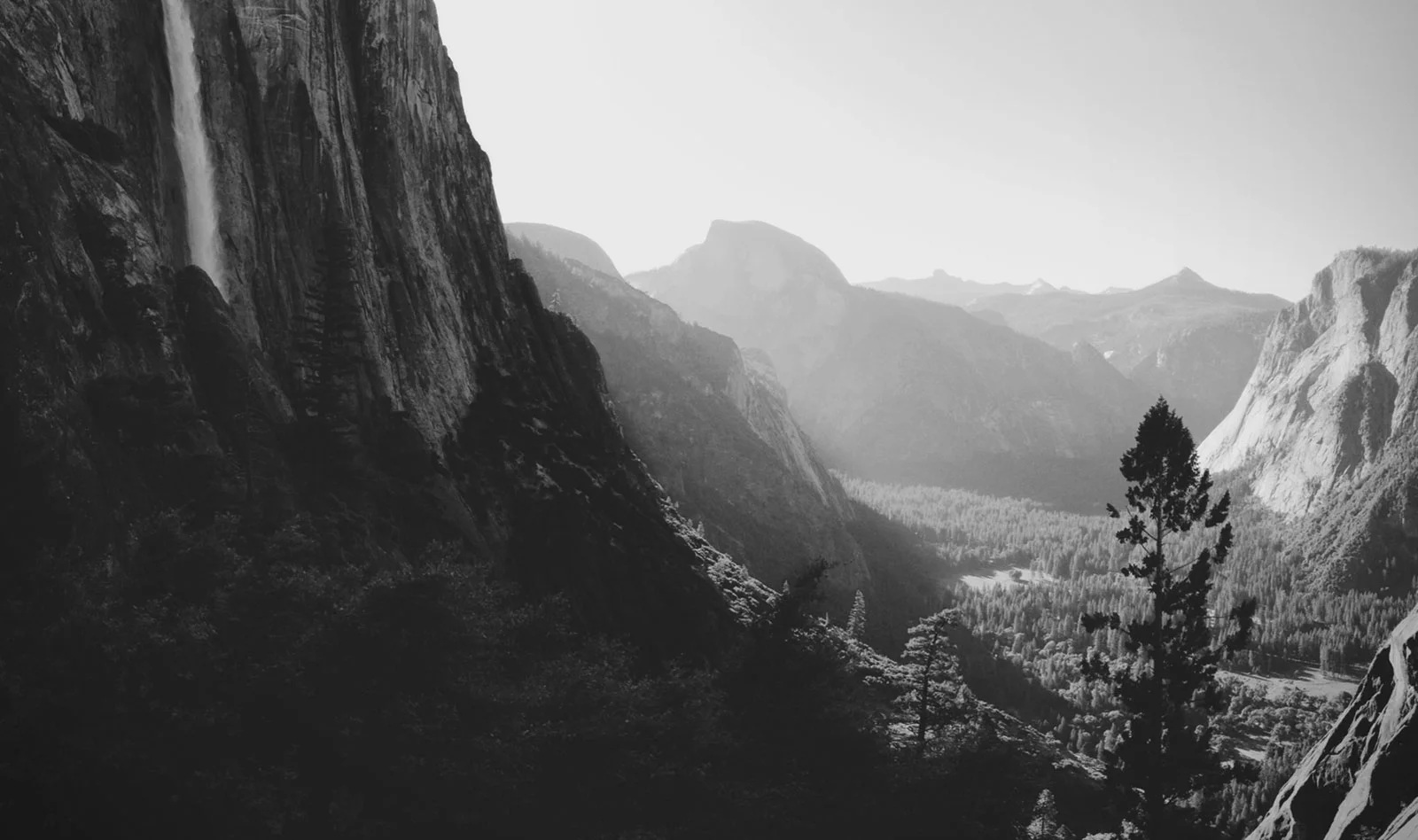 Introducing Aviary Essentials