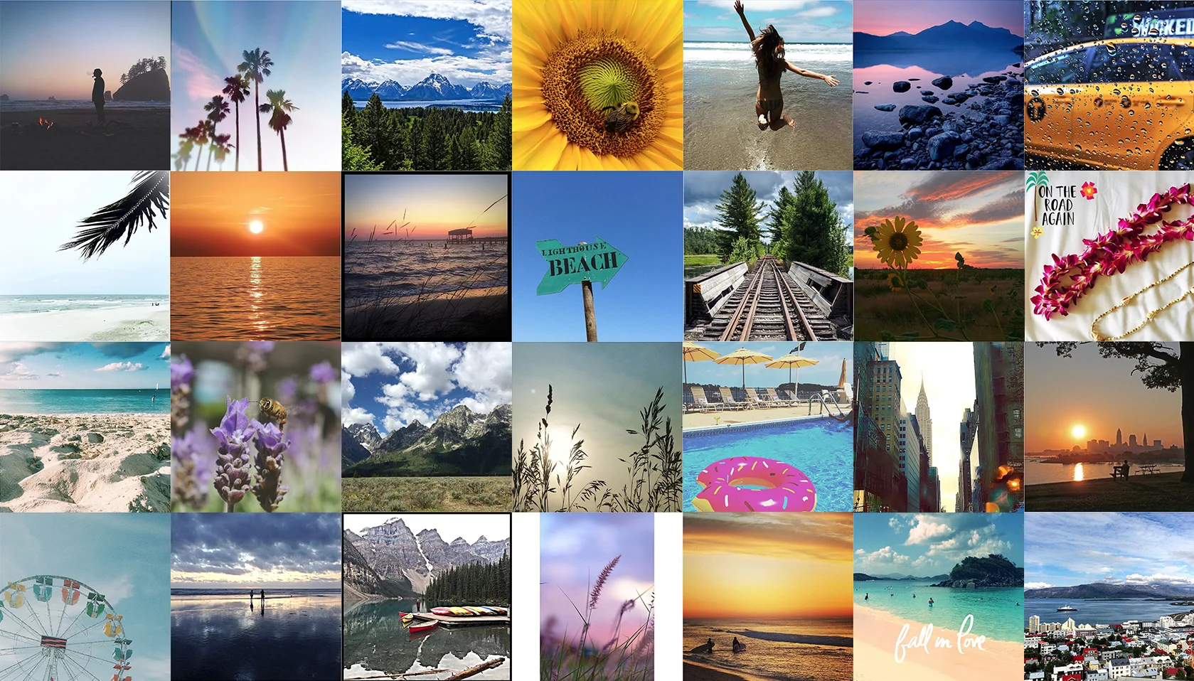 collage rectangular.jpg