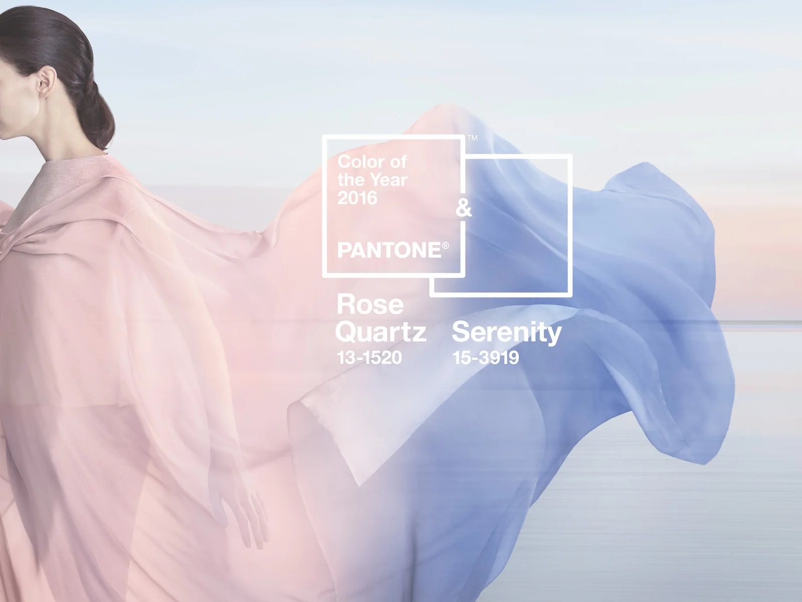 Introducing Pantone's Color of the Year 2016