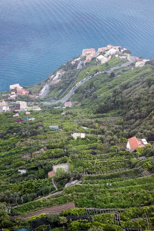 Villa Cimbrone