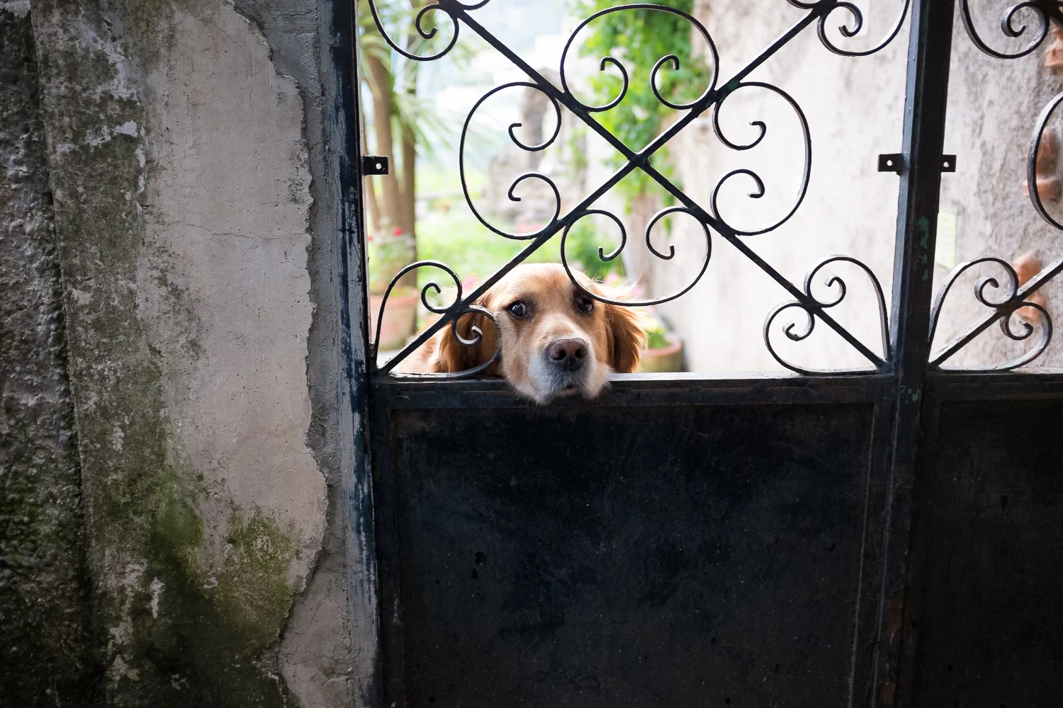 Ravello_Italy-20.jpg