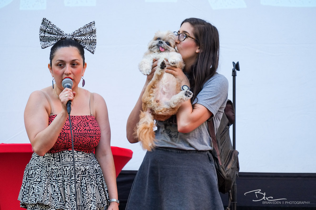 This dog's name is Marnie . She has 55,000 followers in Instagram. Because, the Internet.